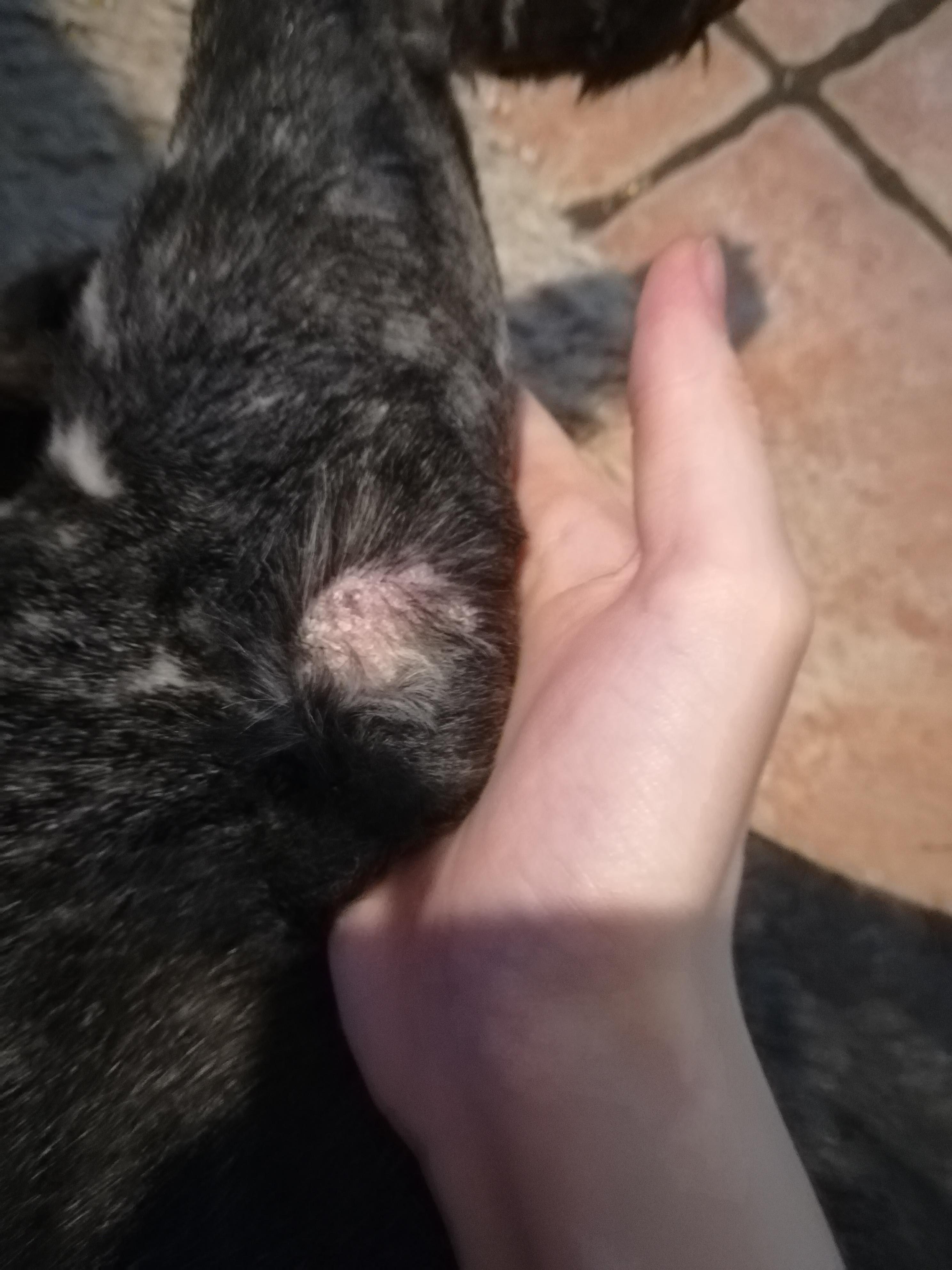 Question details sensitive content