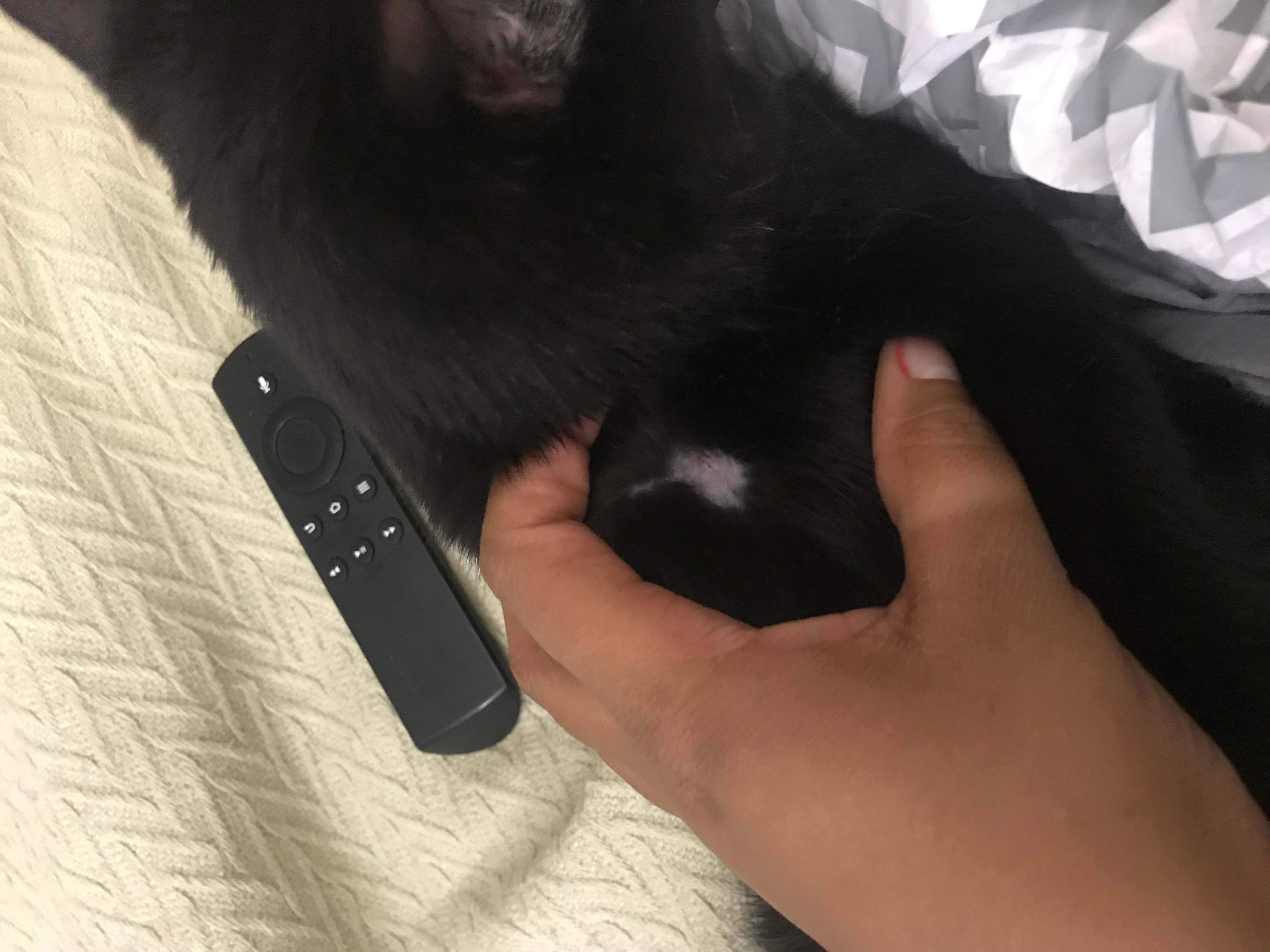 Question details sensitive content