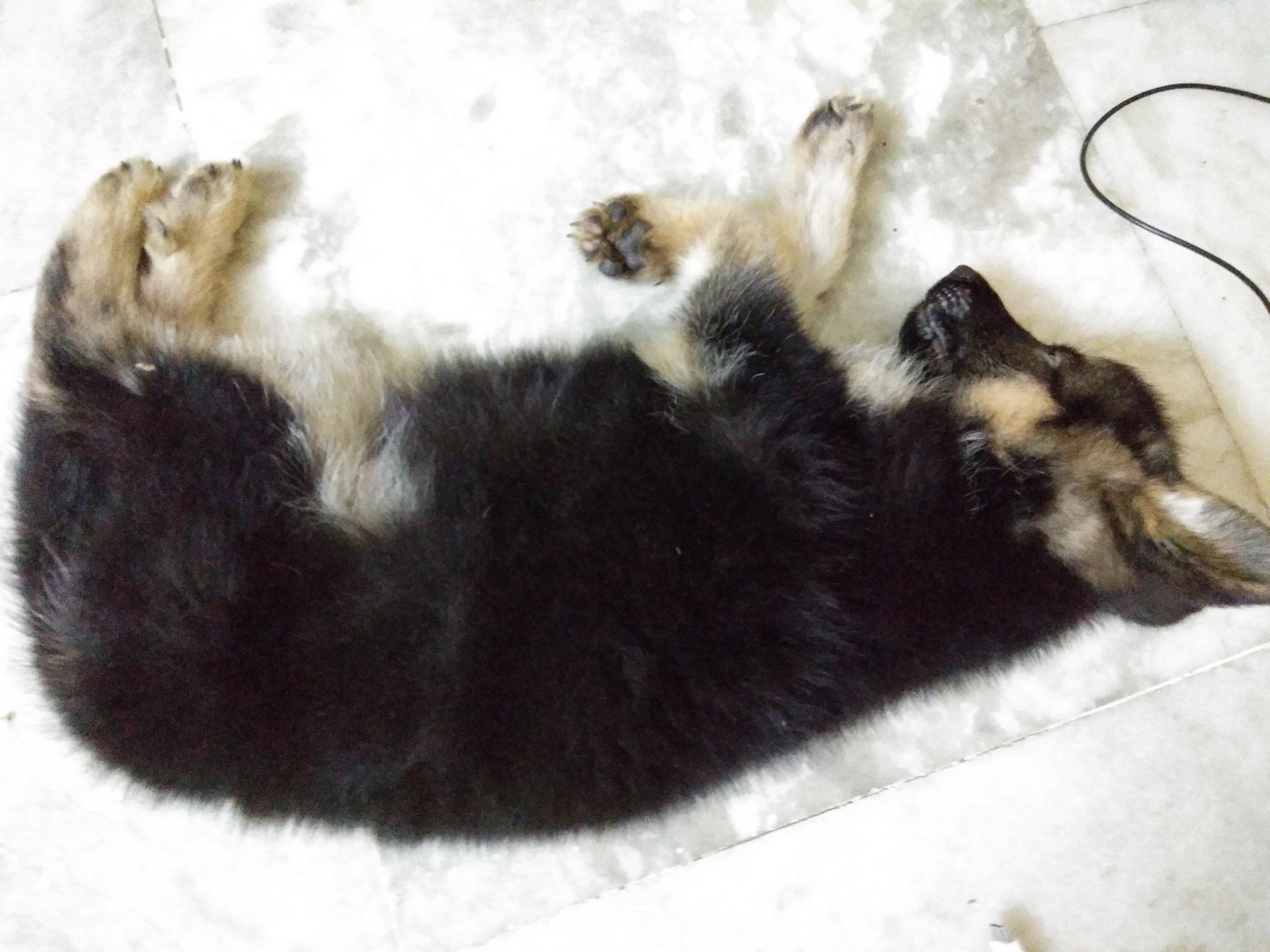 Question details sensitive content