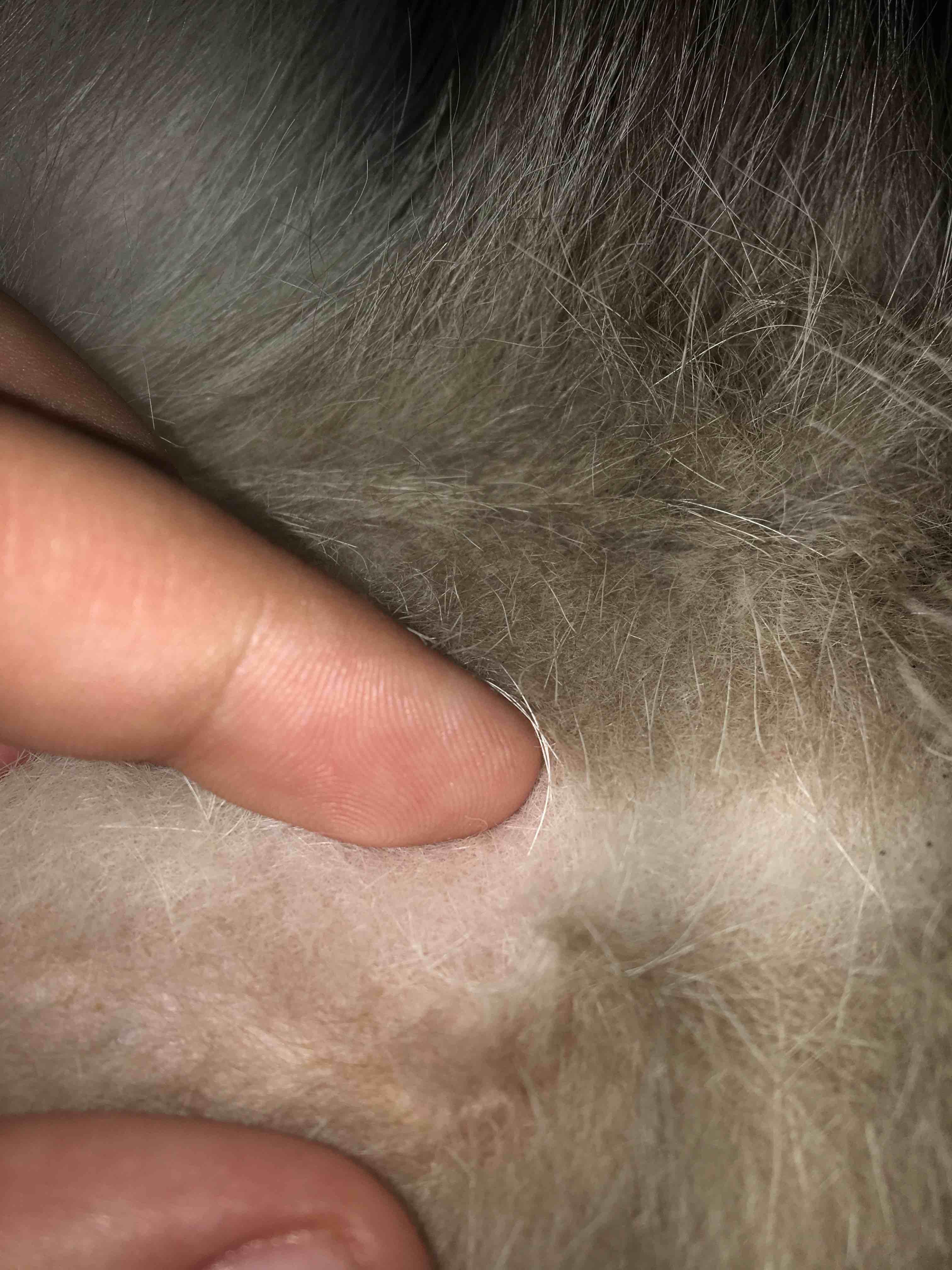 Question details sensitive content