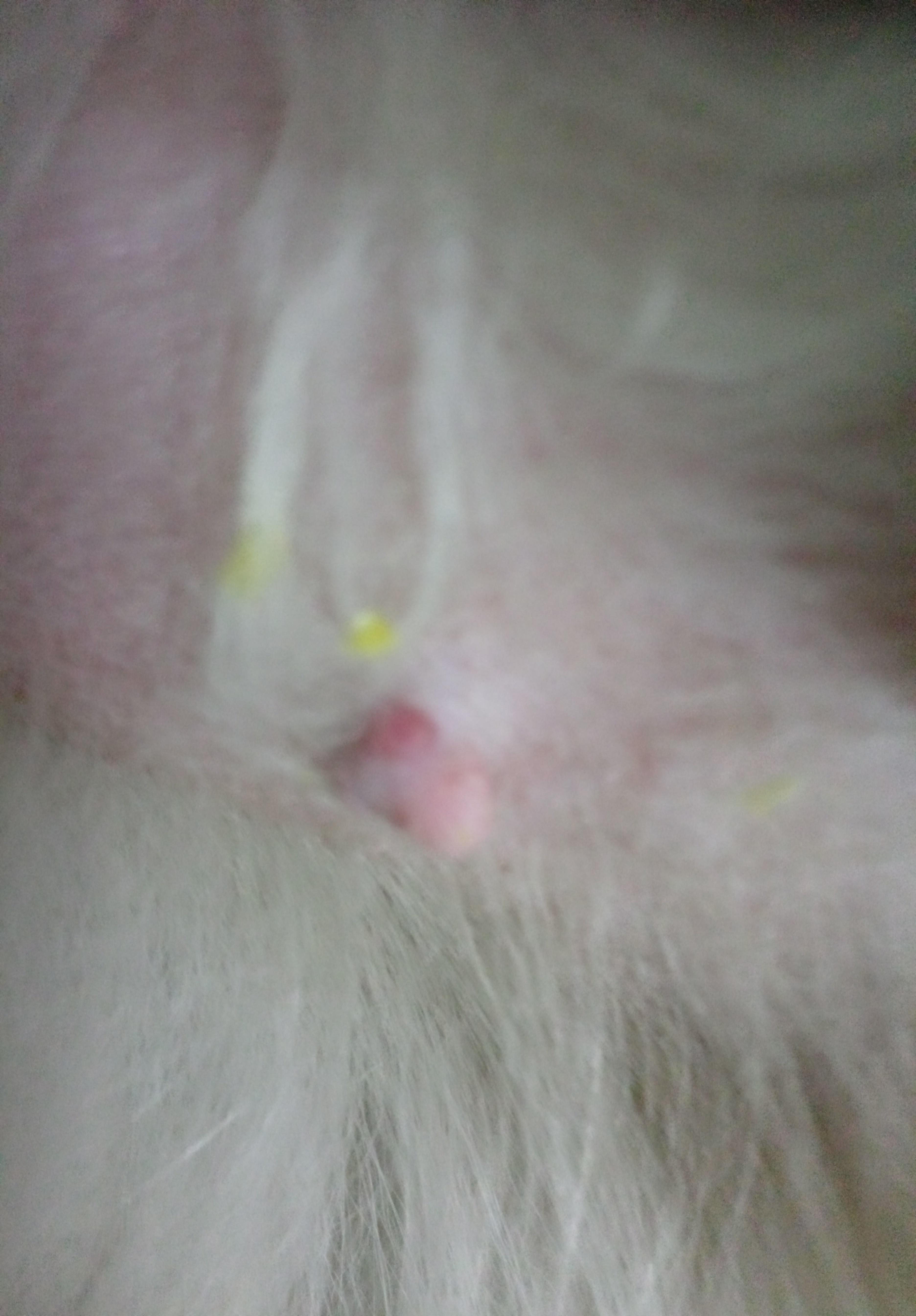 Question details sensitive content