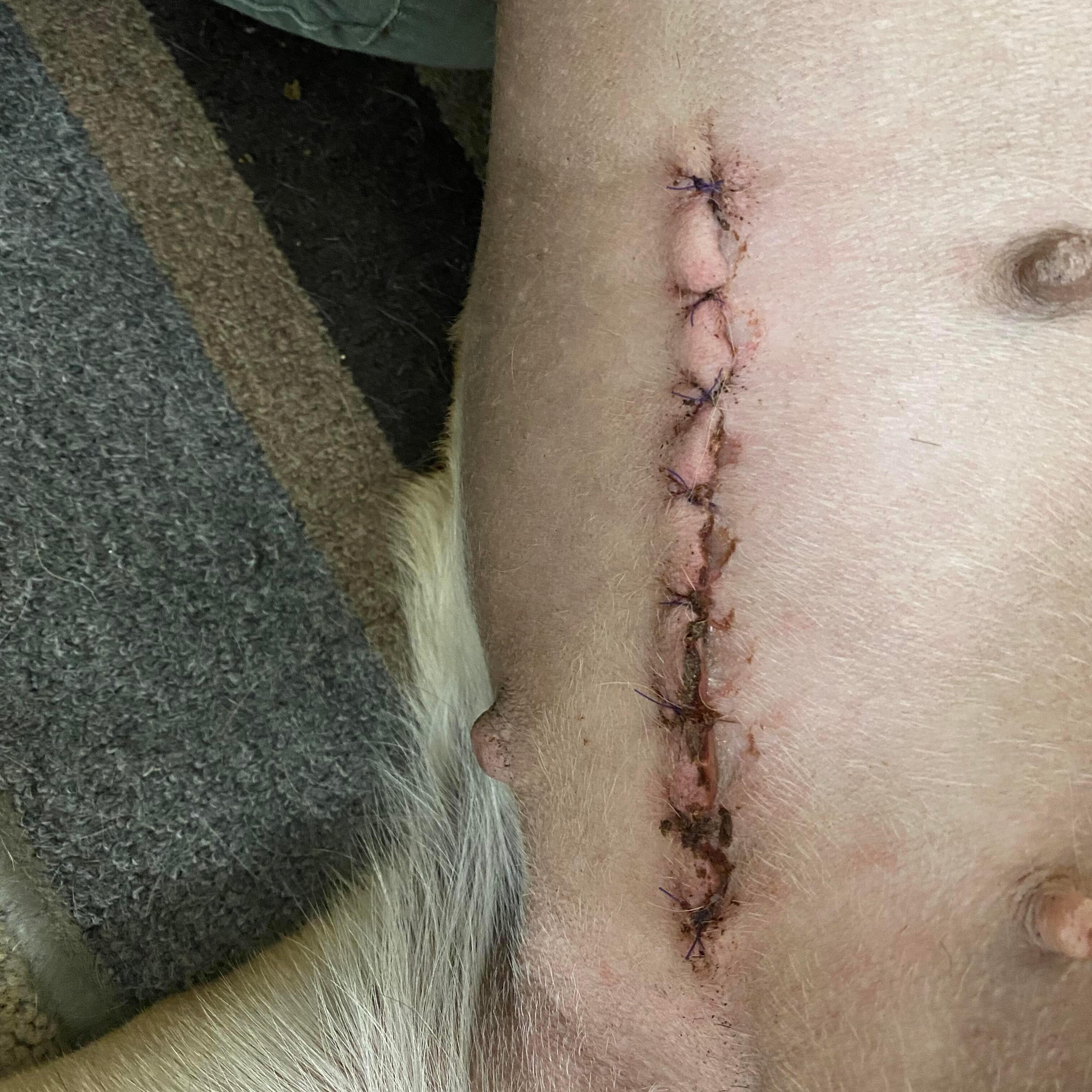 Question details sensitive content