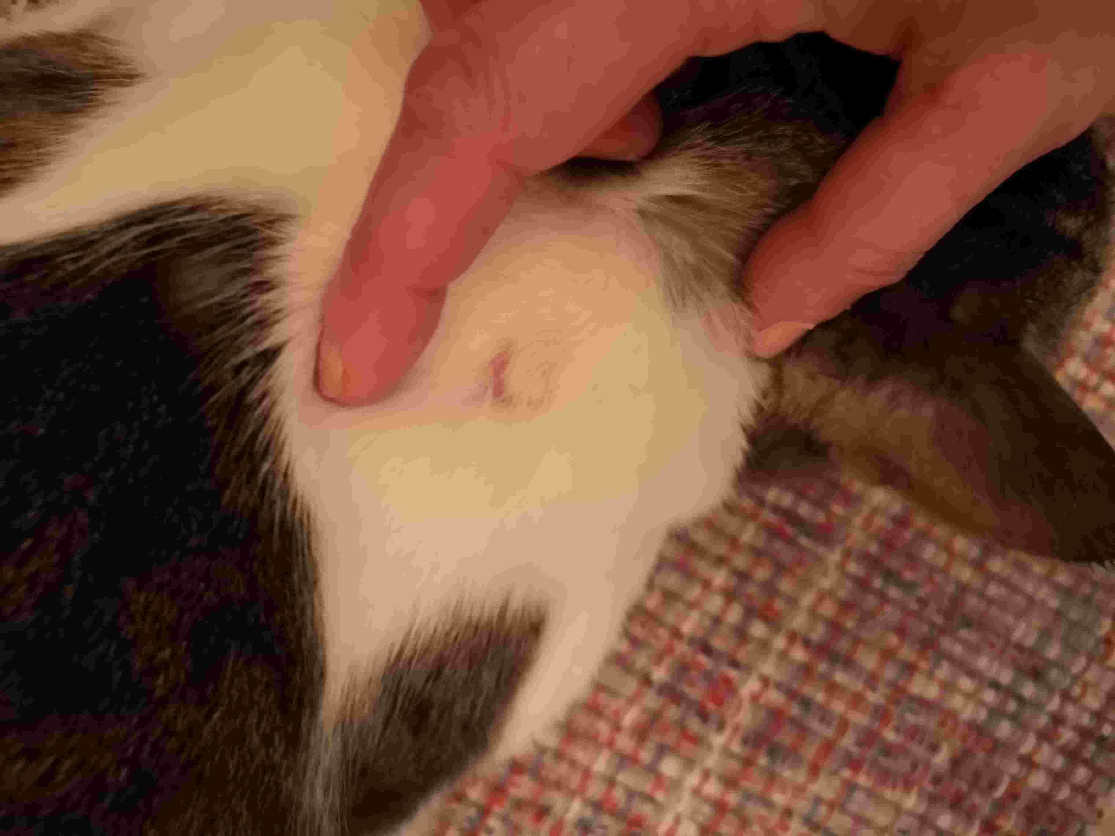 Question details sensitive content