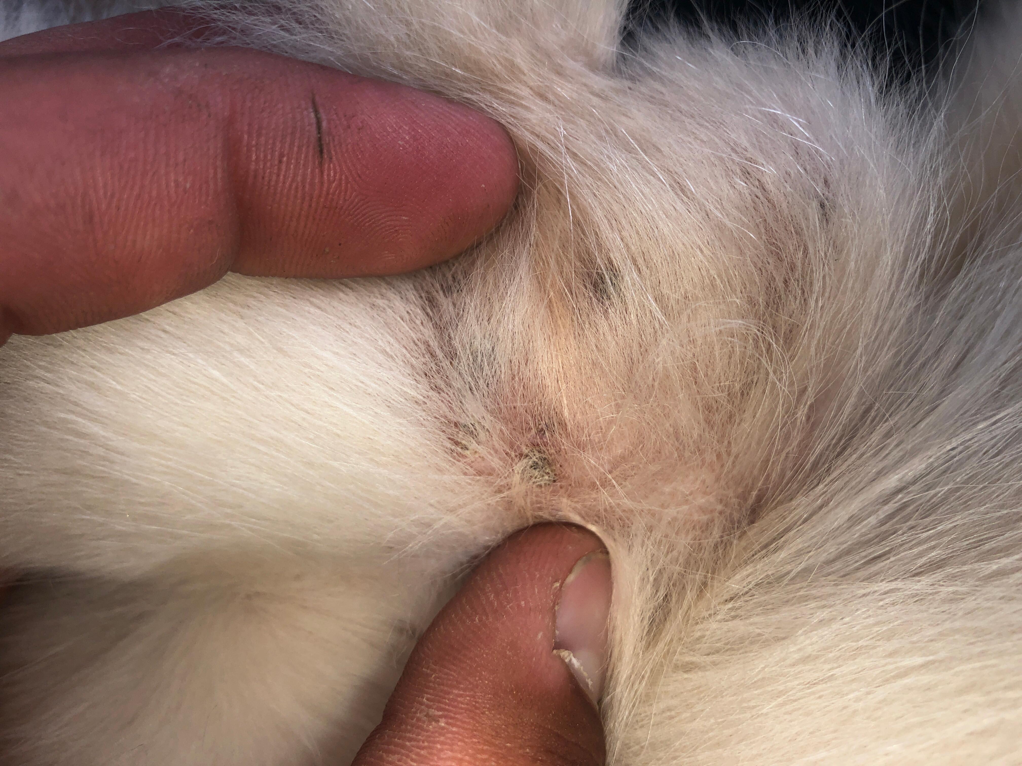 Question details sensitive content