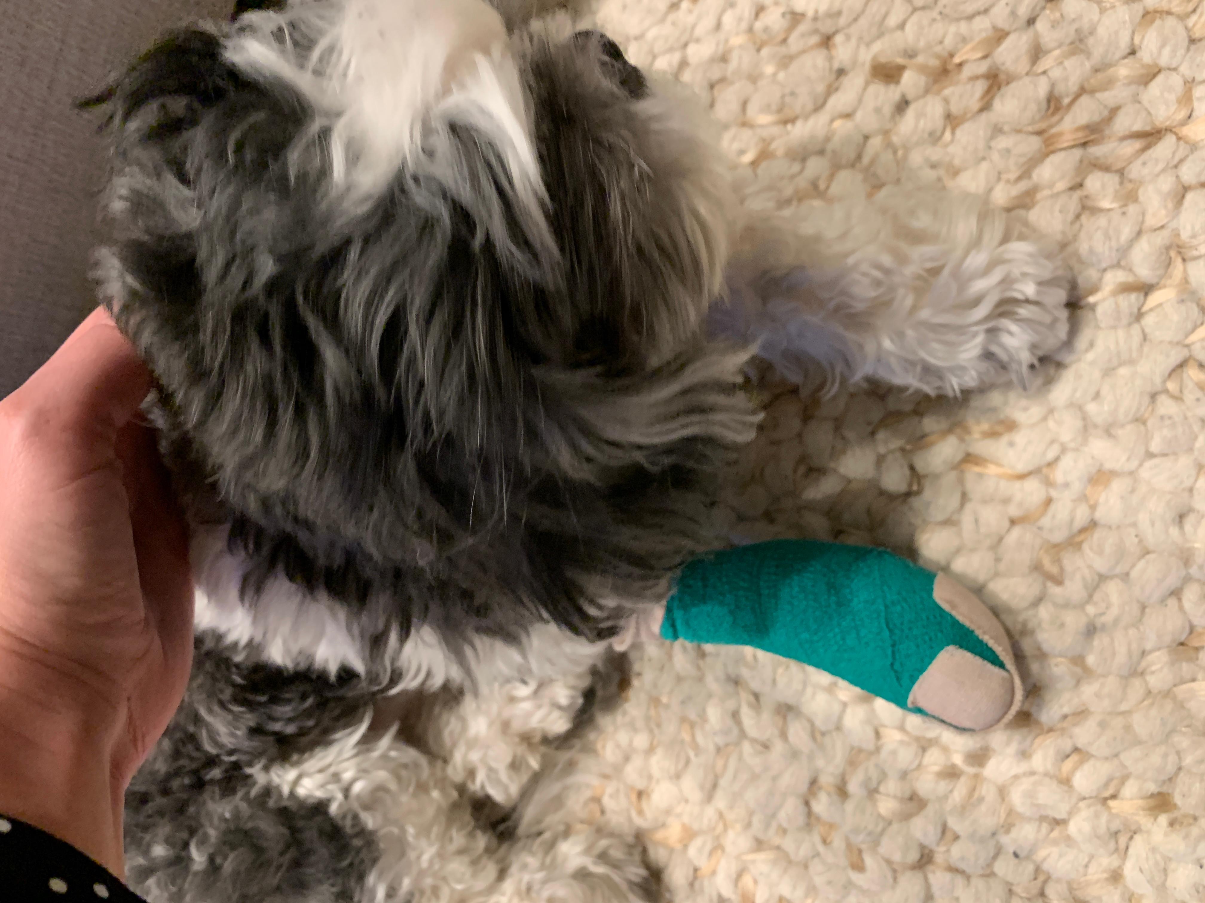 Question details sensitive content