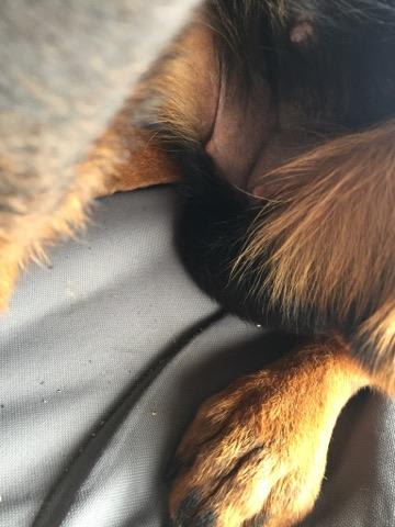 Question details sensitive content