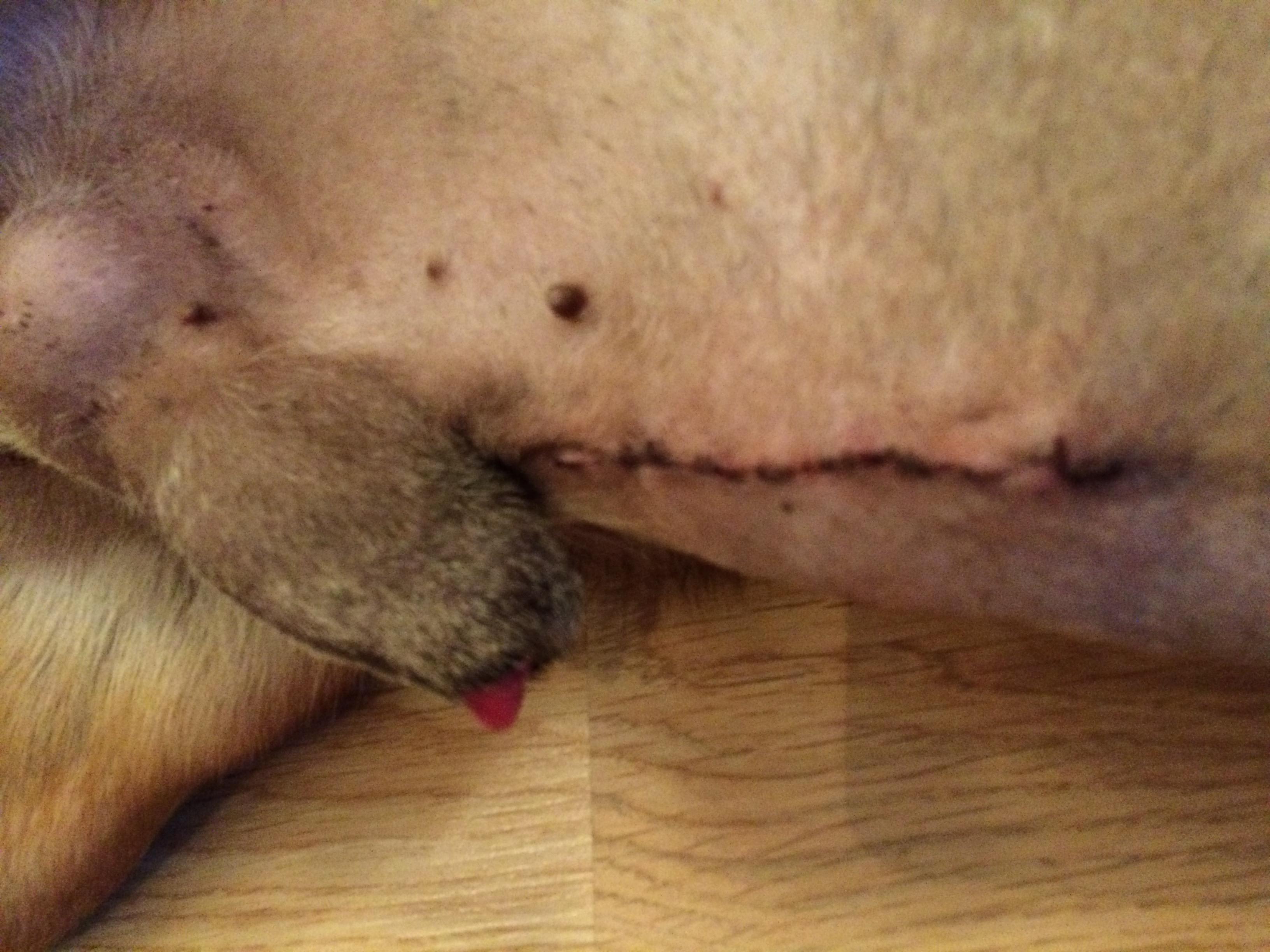 Question details sensitive content