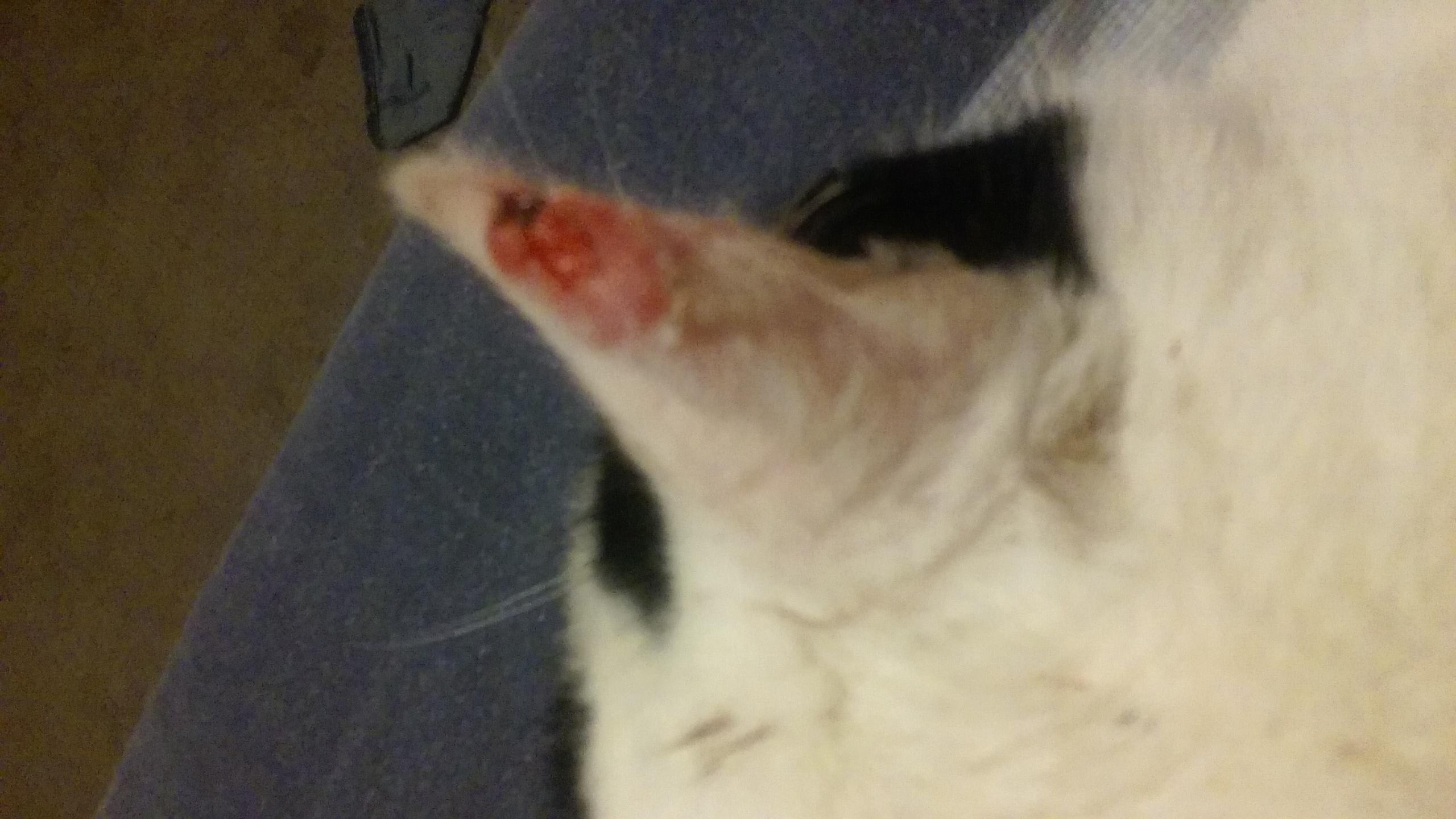 Question details sensitive content