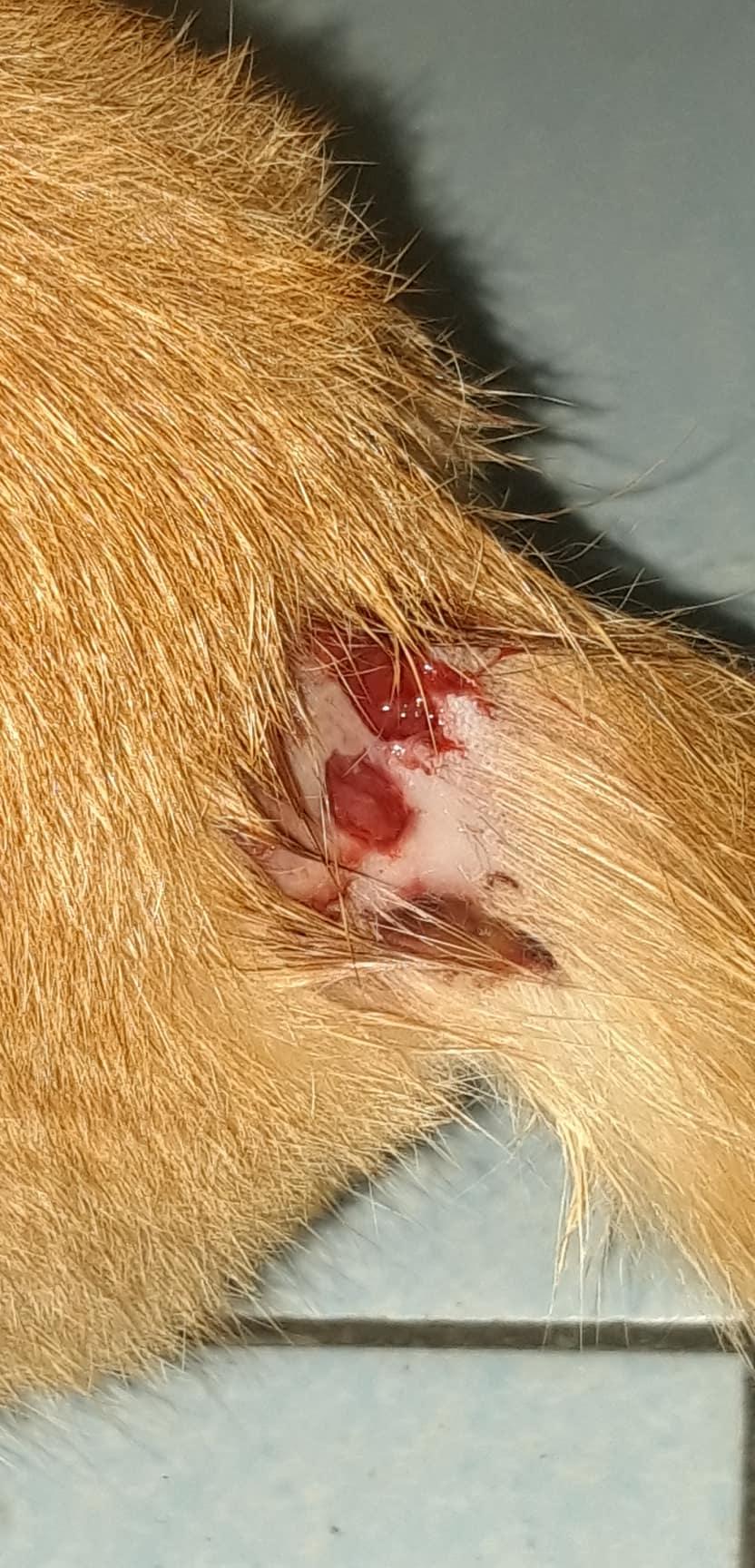 Question details sensitive content