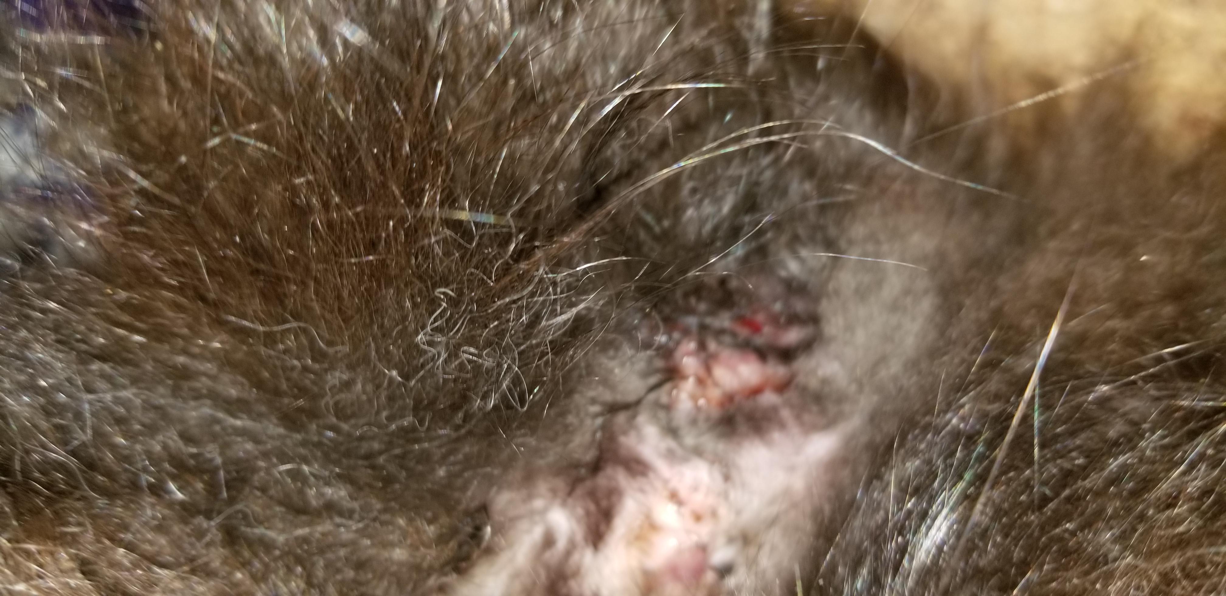 Question details sensitive content