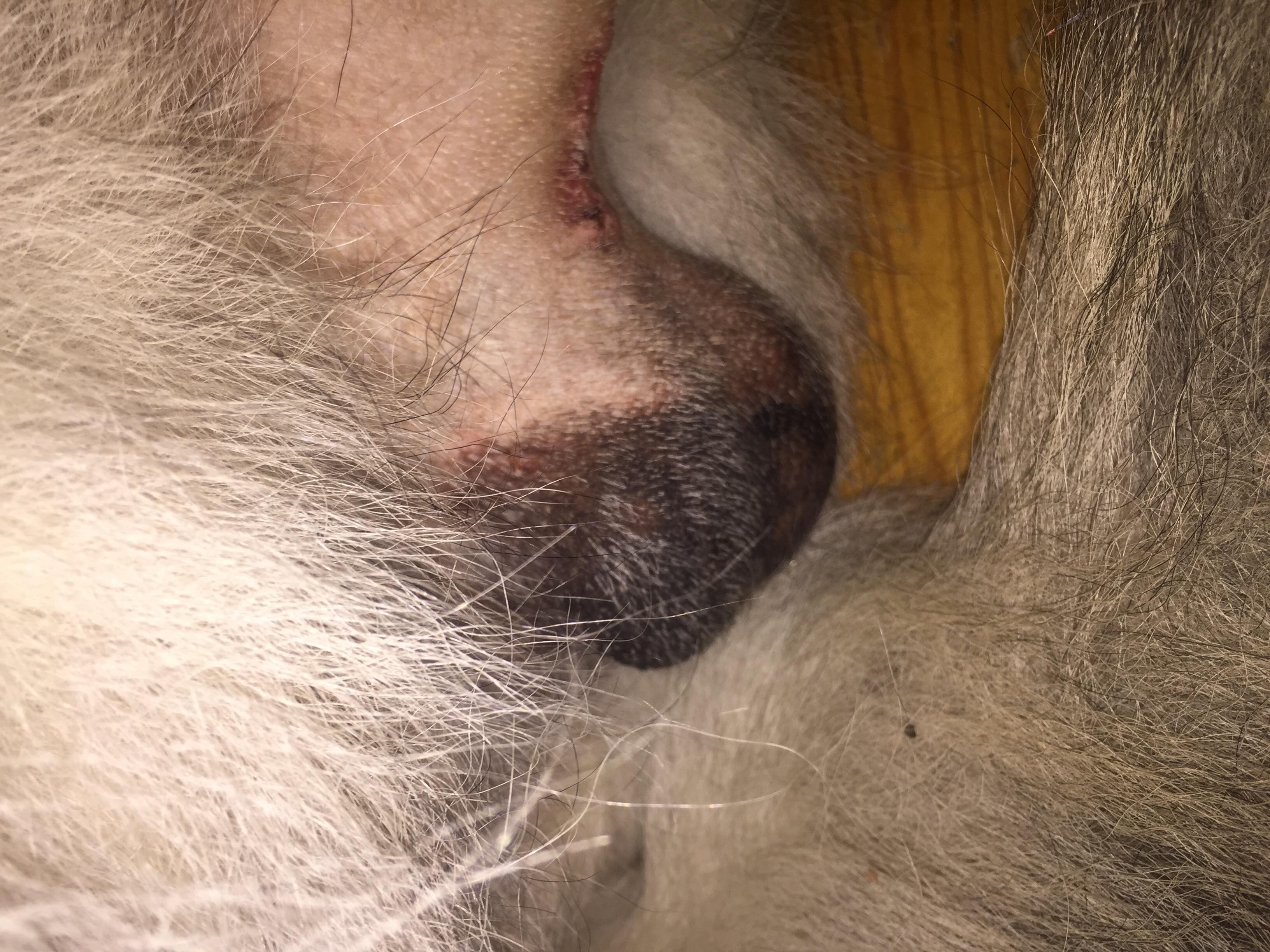 Question details sensitive content