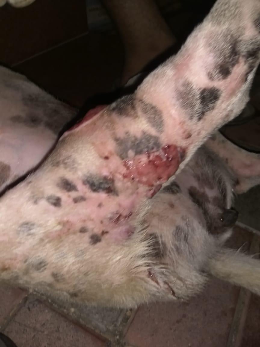 Question details sensitive content