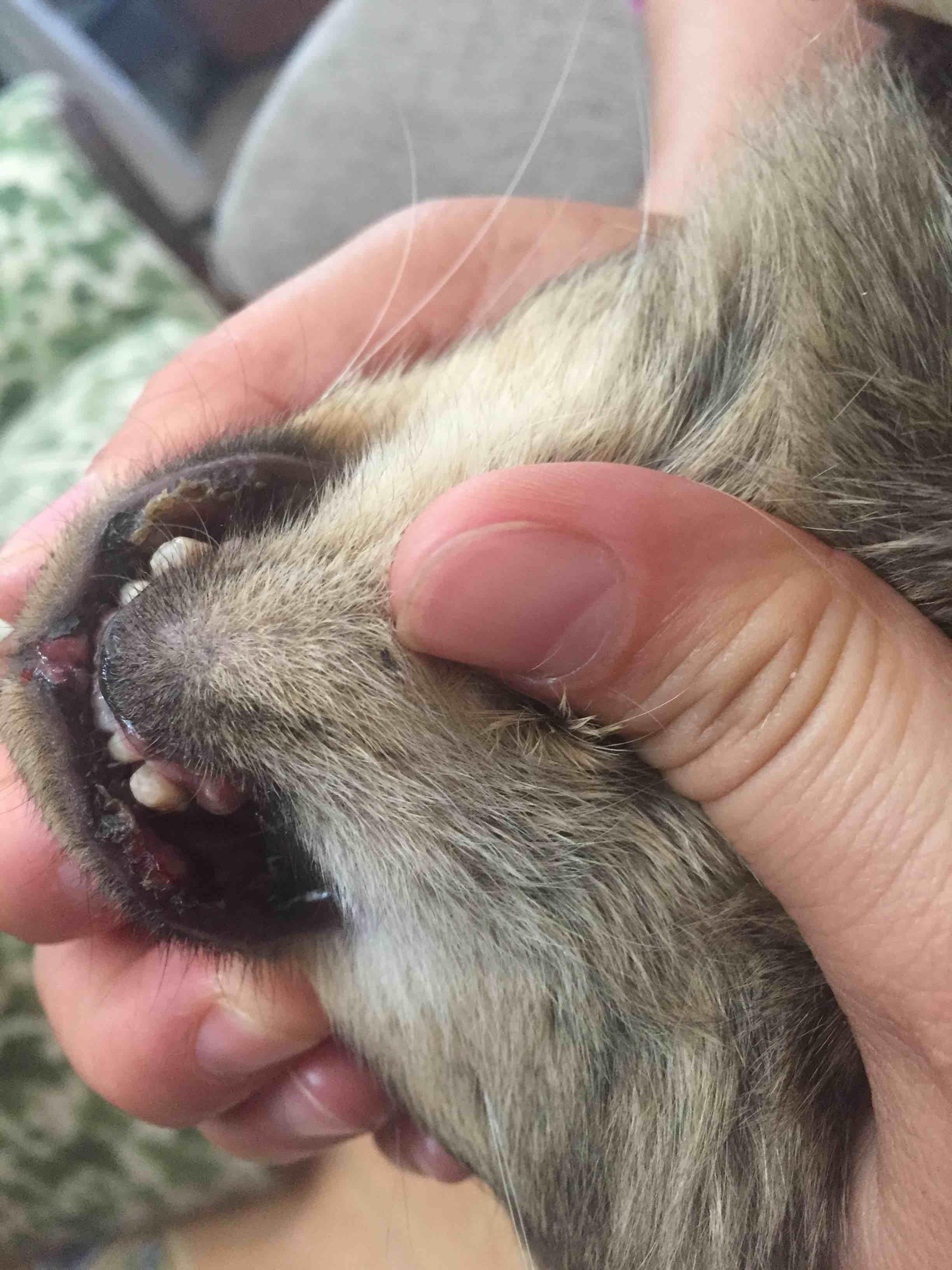 Question details sensitive content