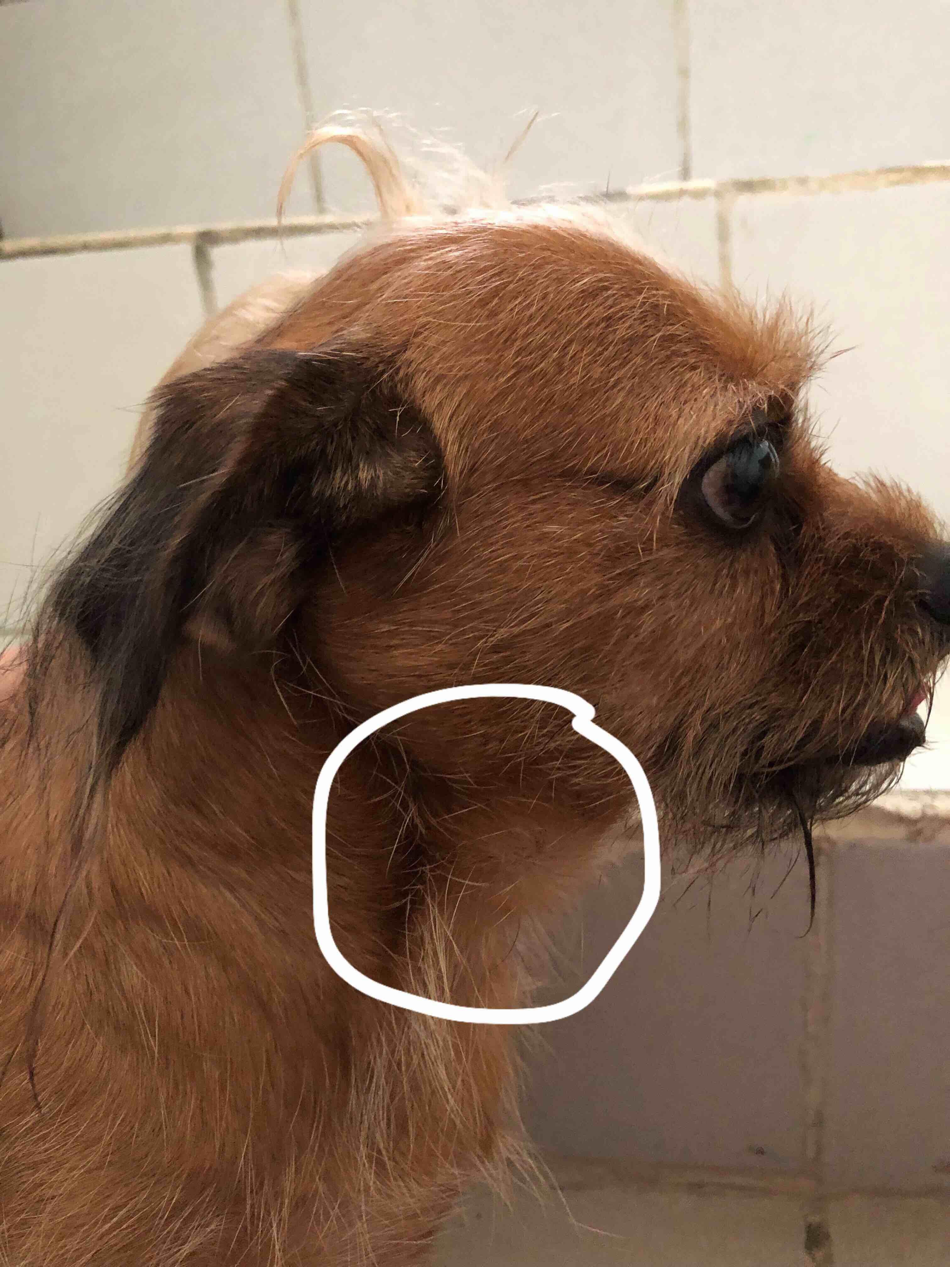 Question details sensitive content