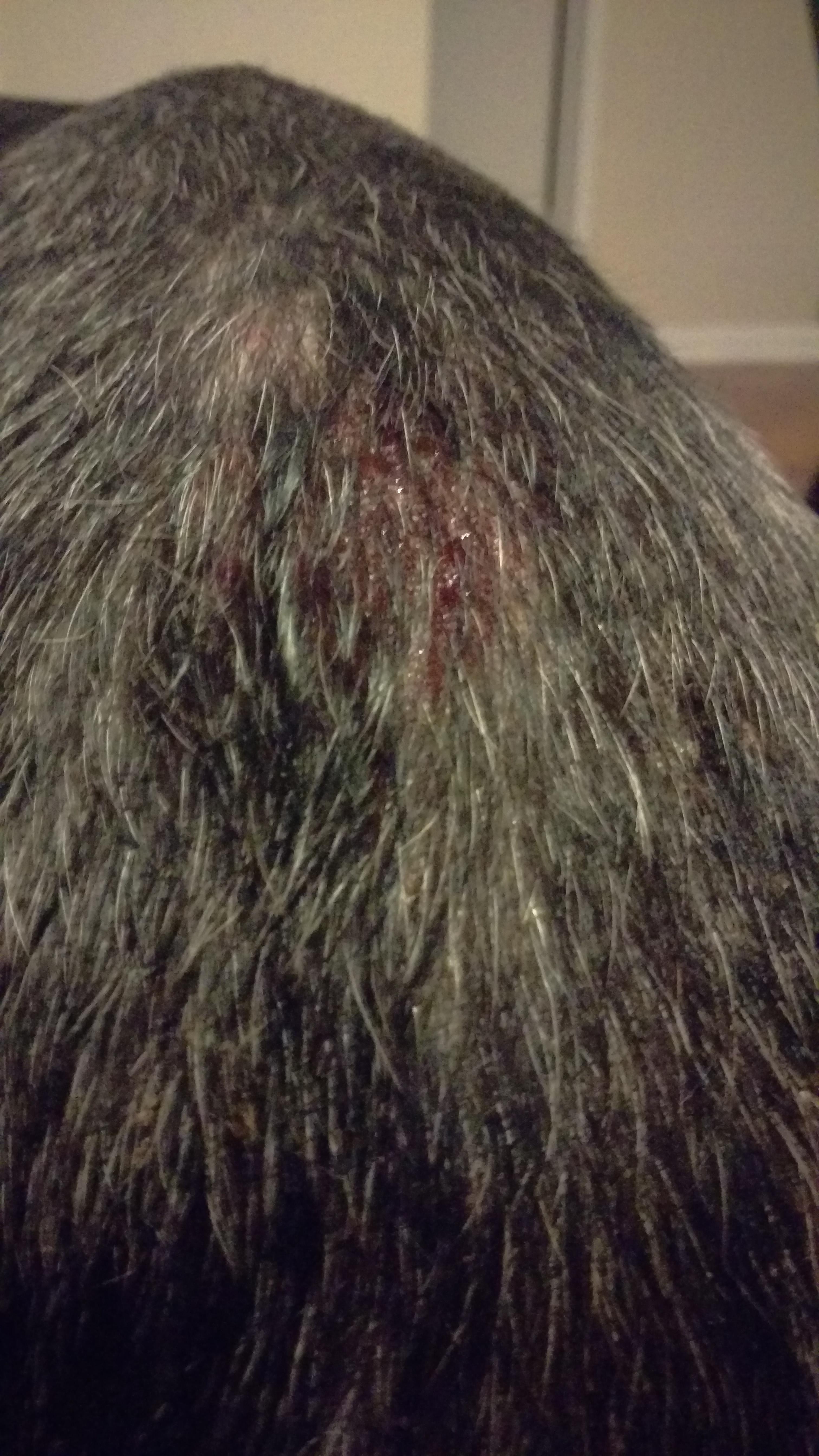 Question details sensitive content