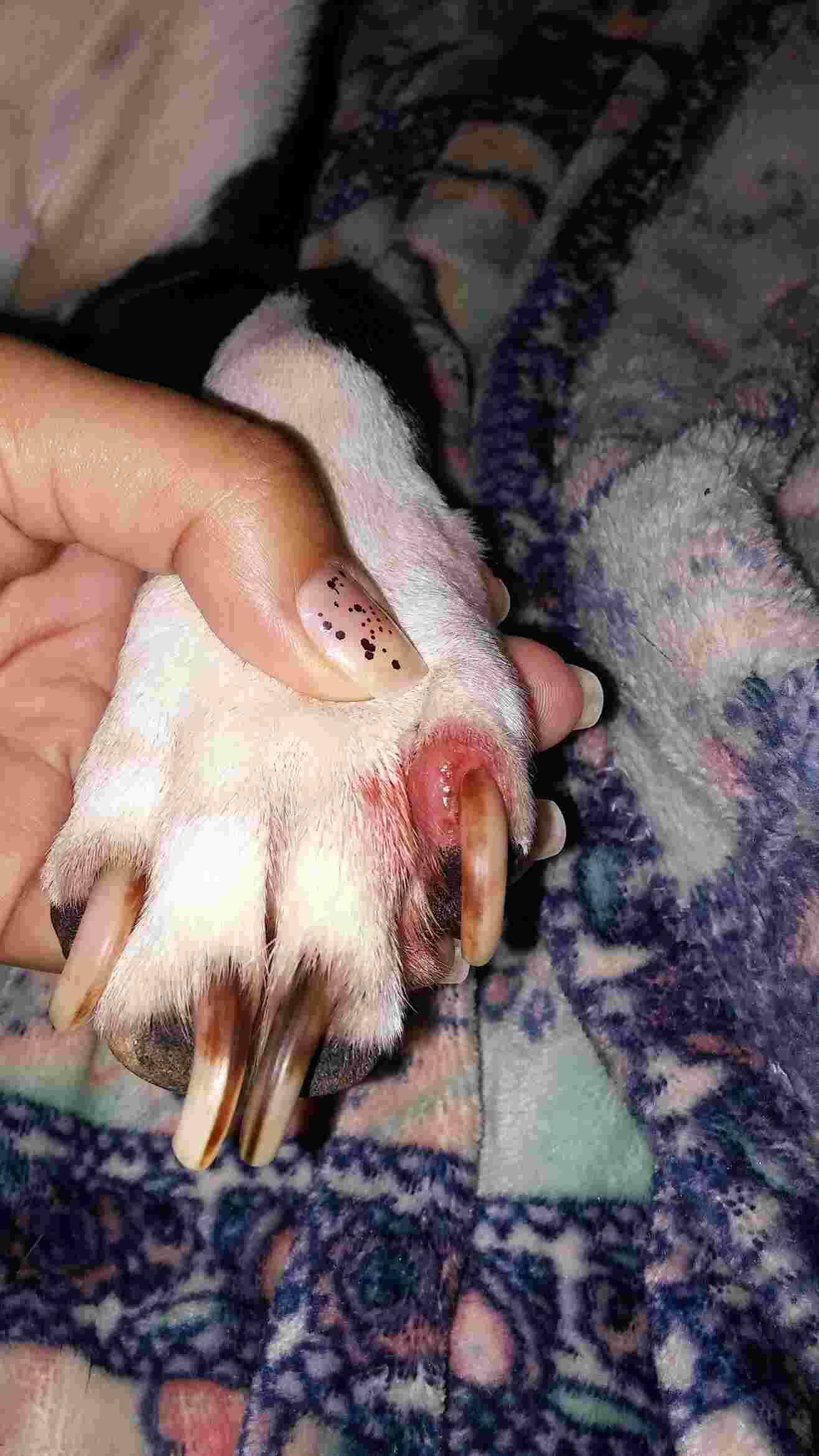 Question details sensitive content