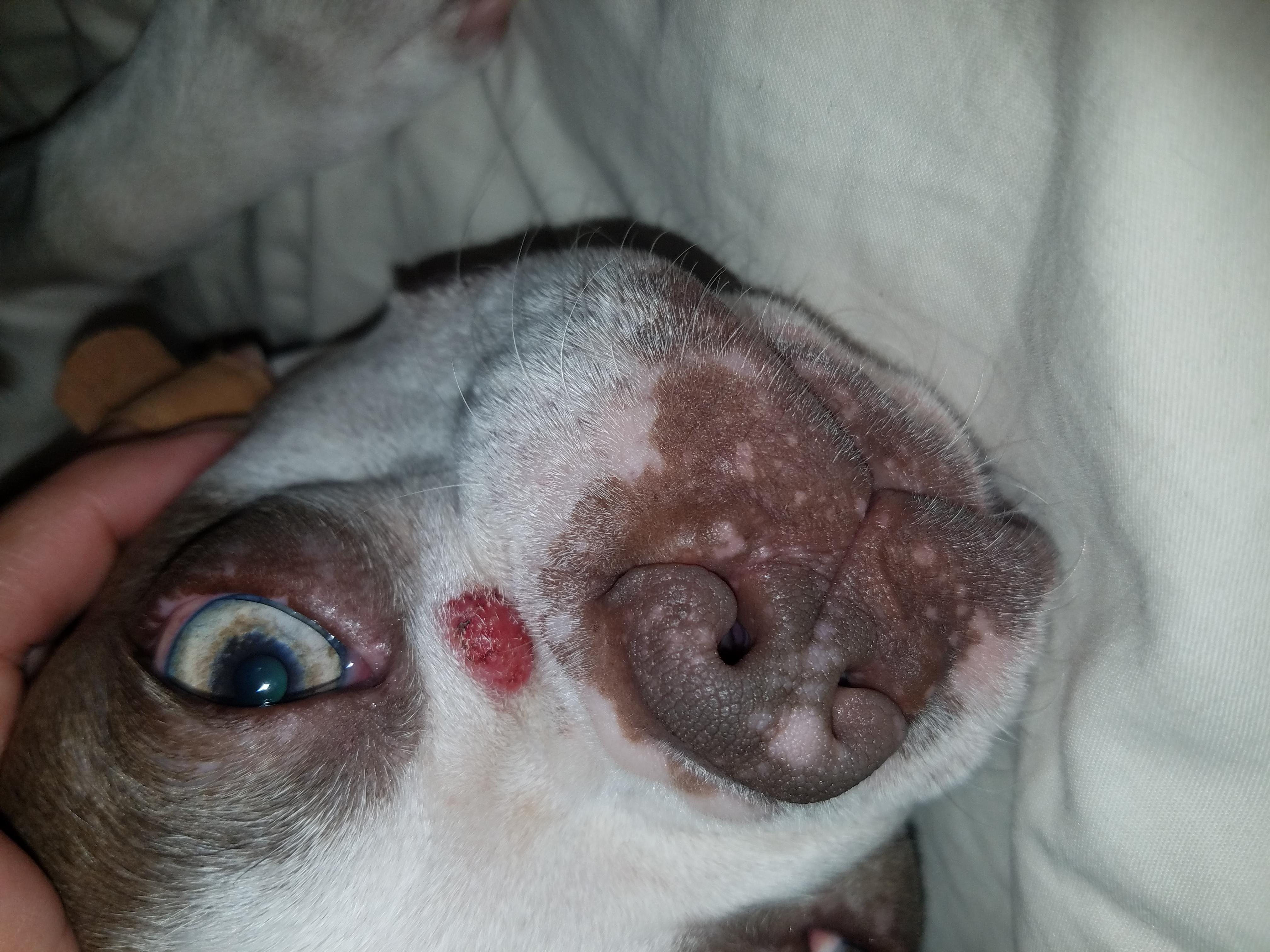 Question details sensitive content