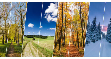 Preventives Are Only Needed During Warm Months