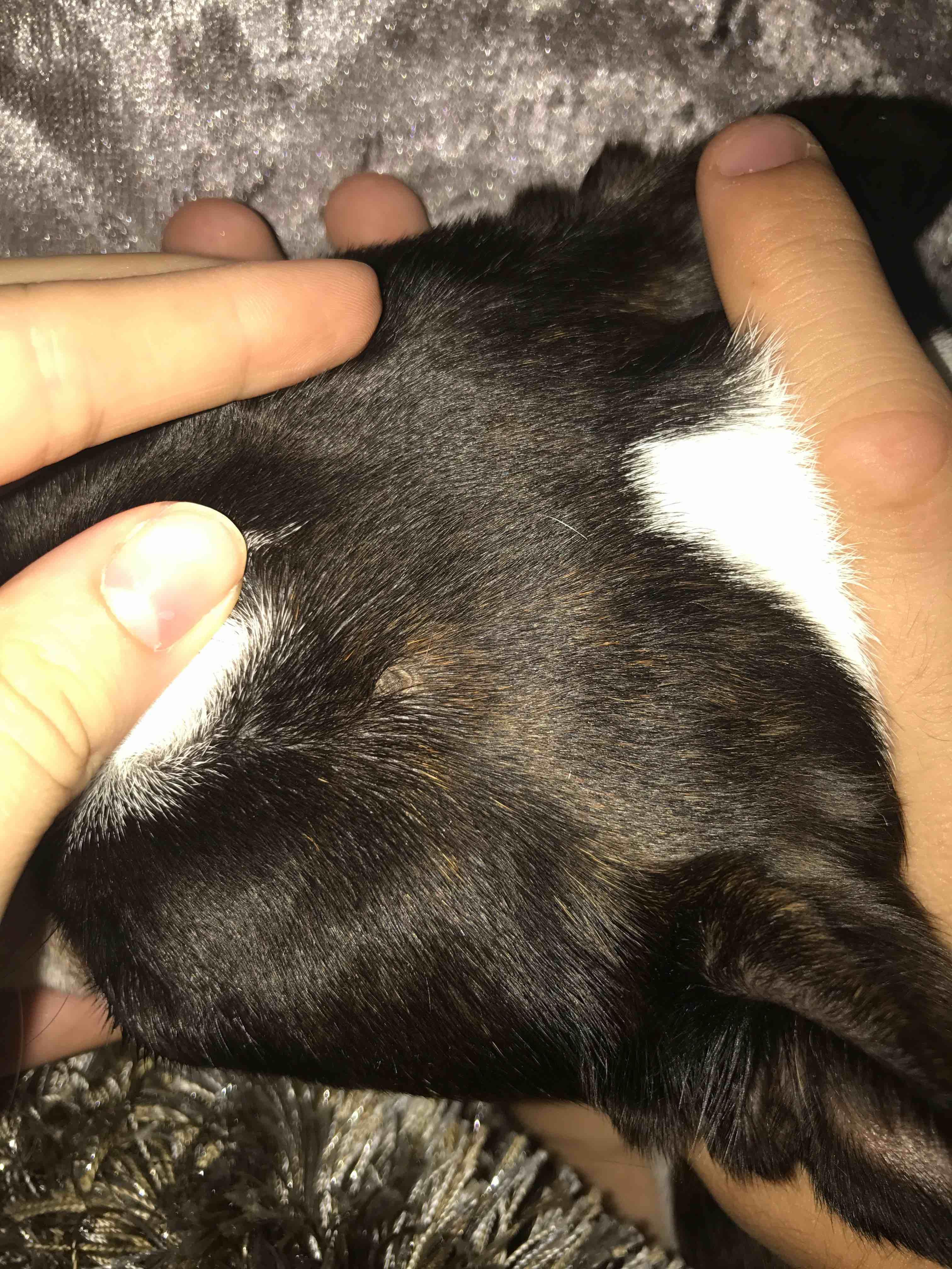 Question details sensitive content