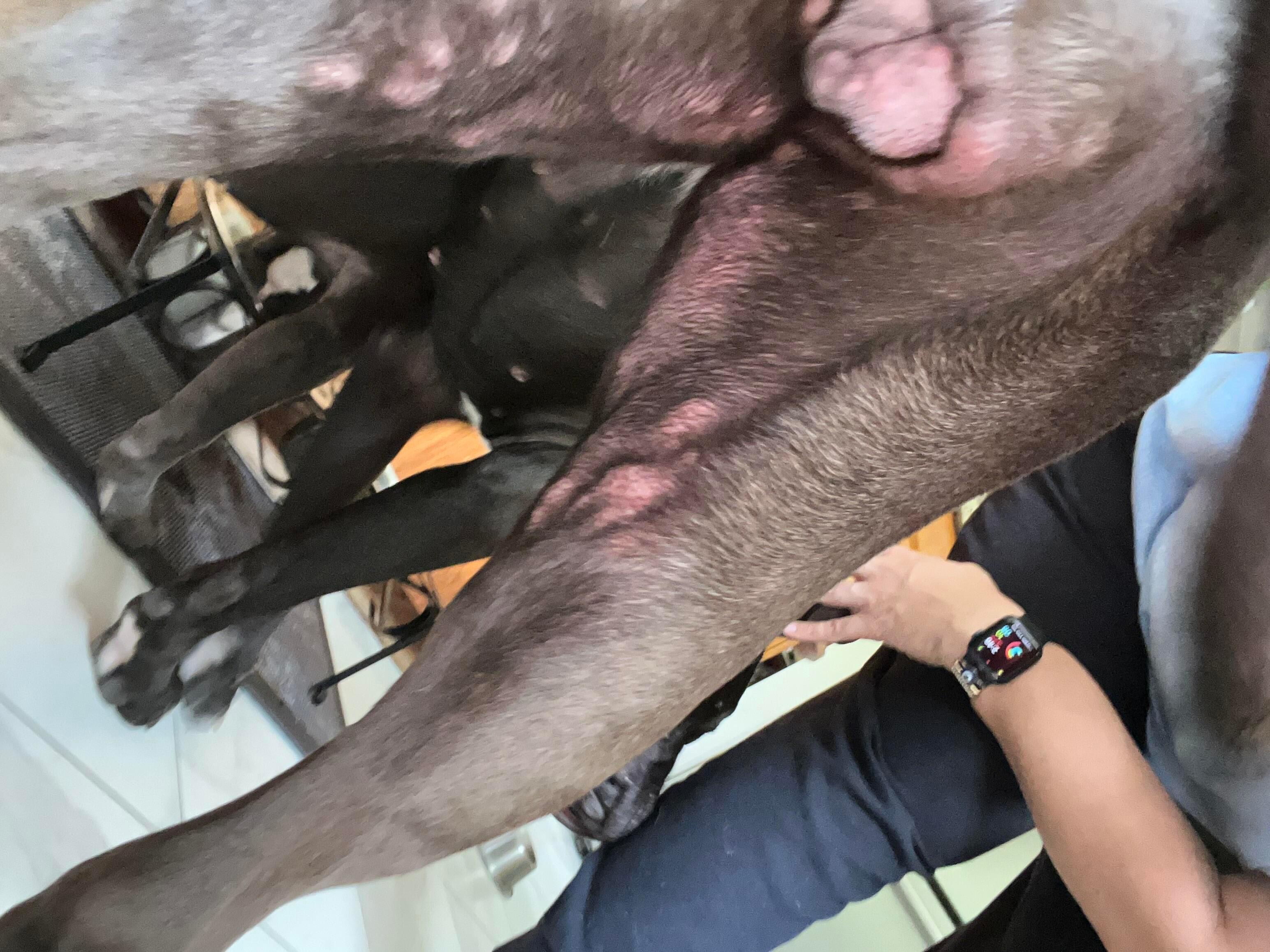 Question details sensitive content