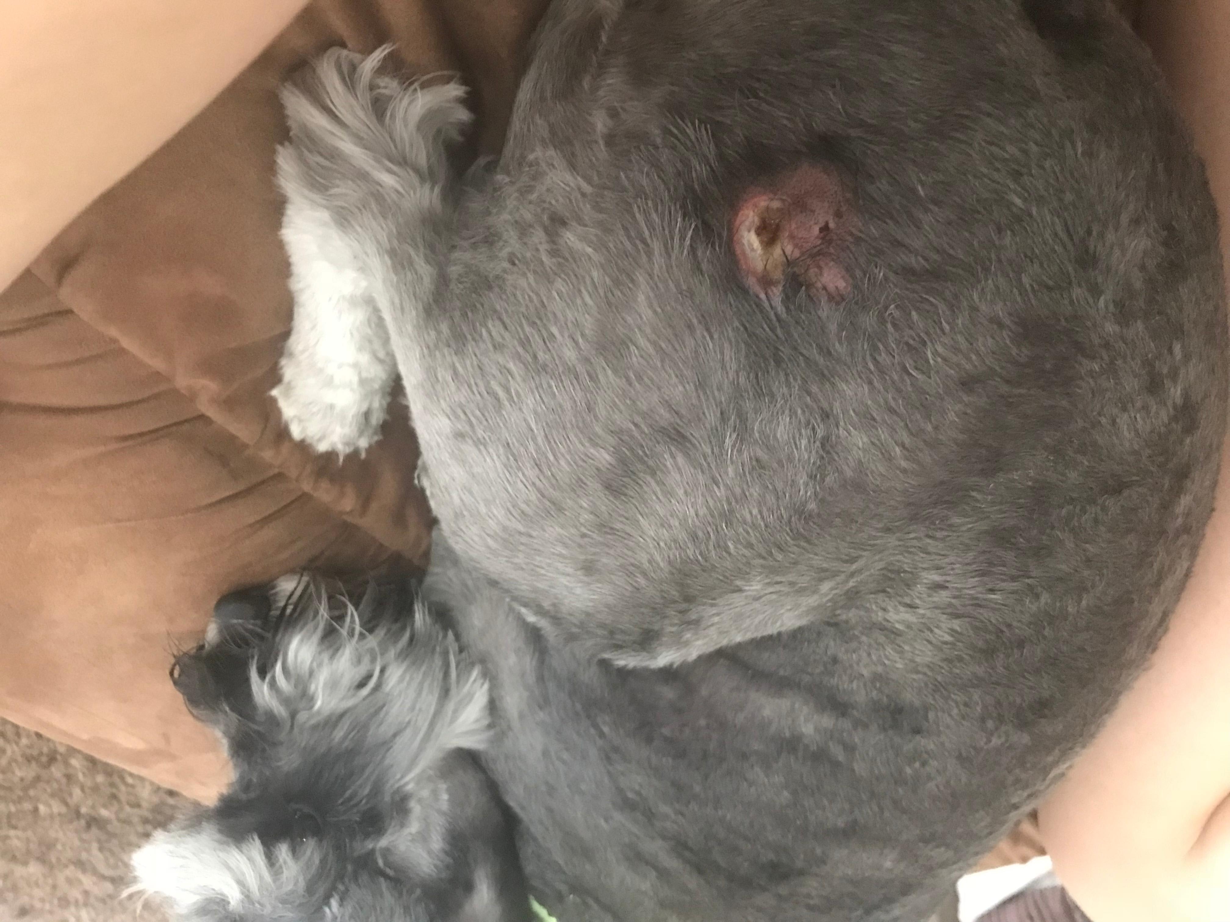 Question details sensitive content