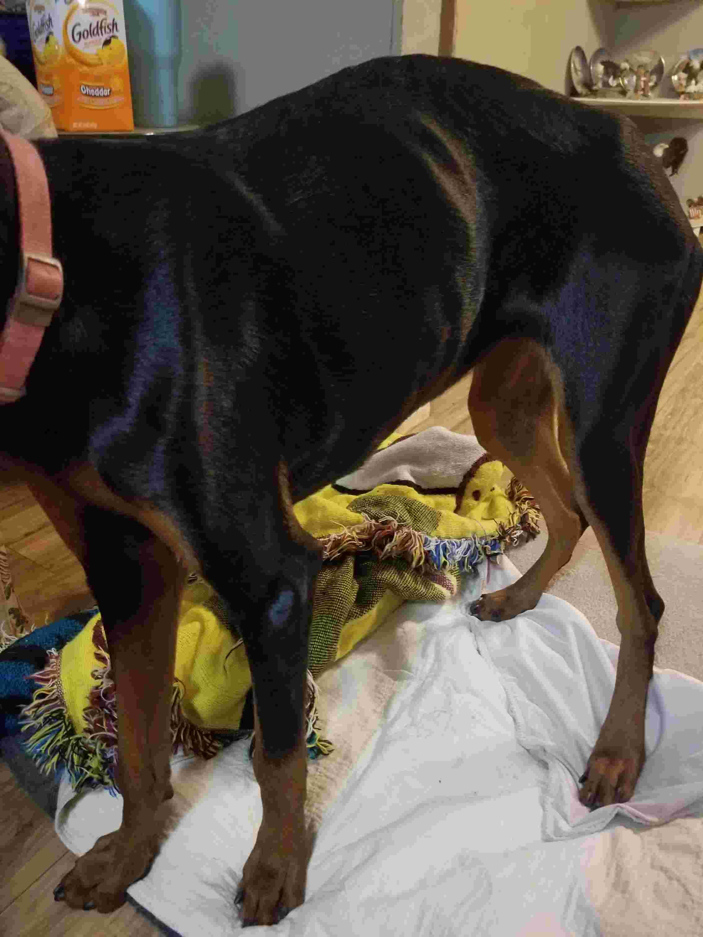 Question details sensitive content