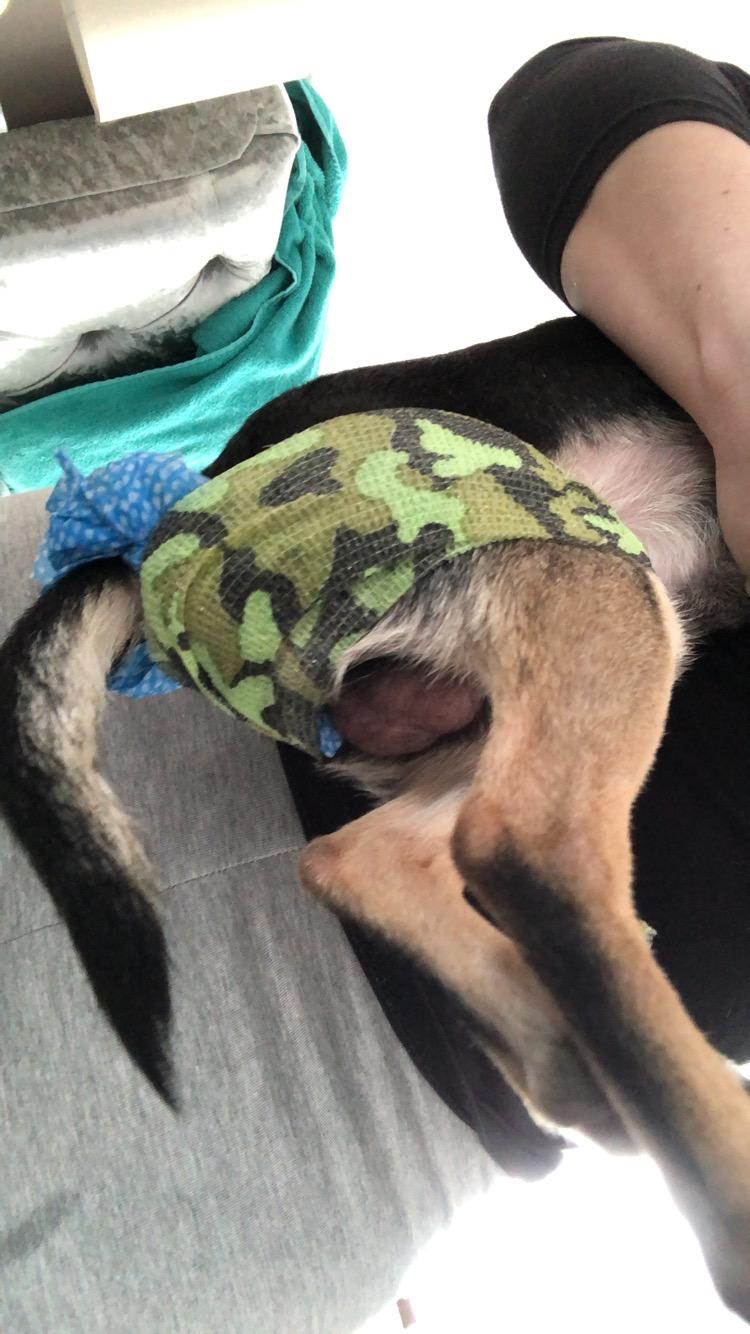 Question details sensitive content