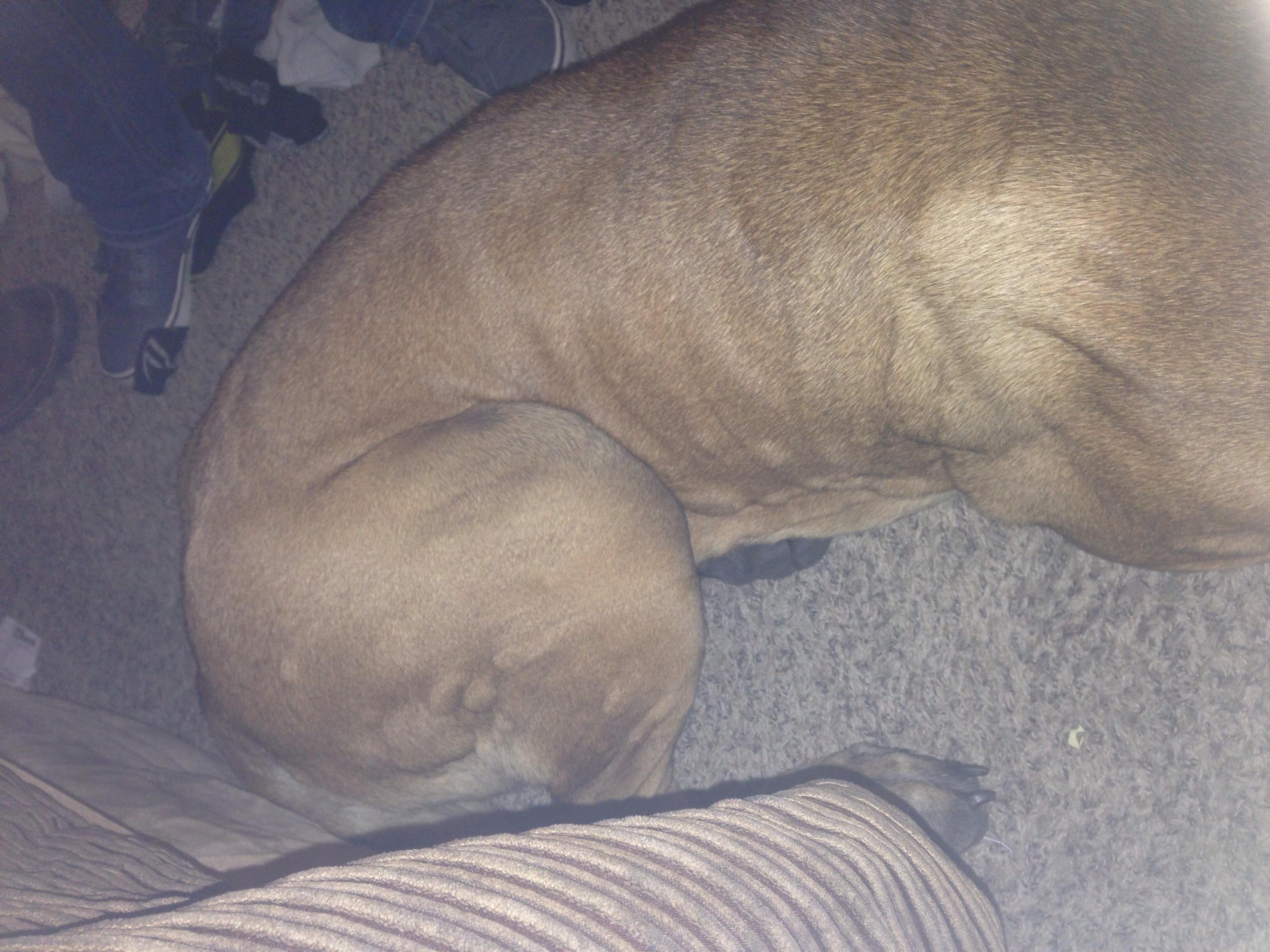 Question details sensitive content