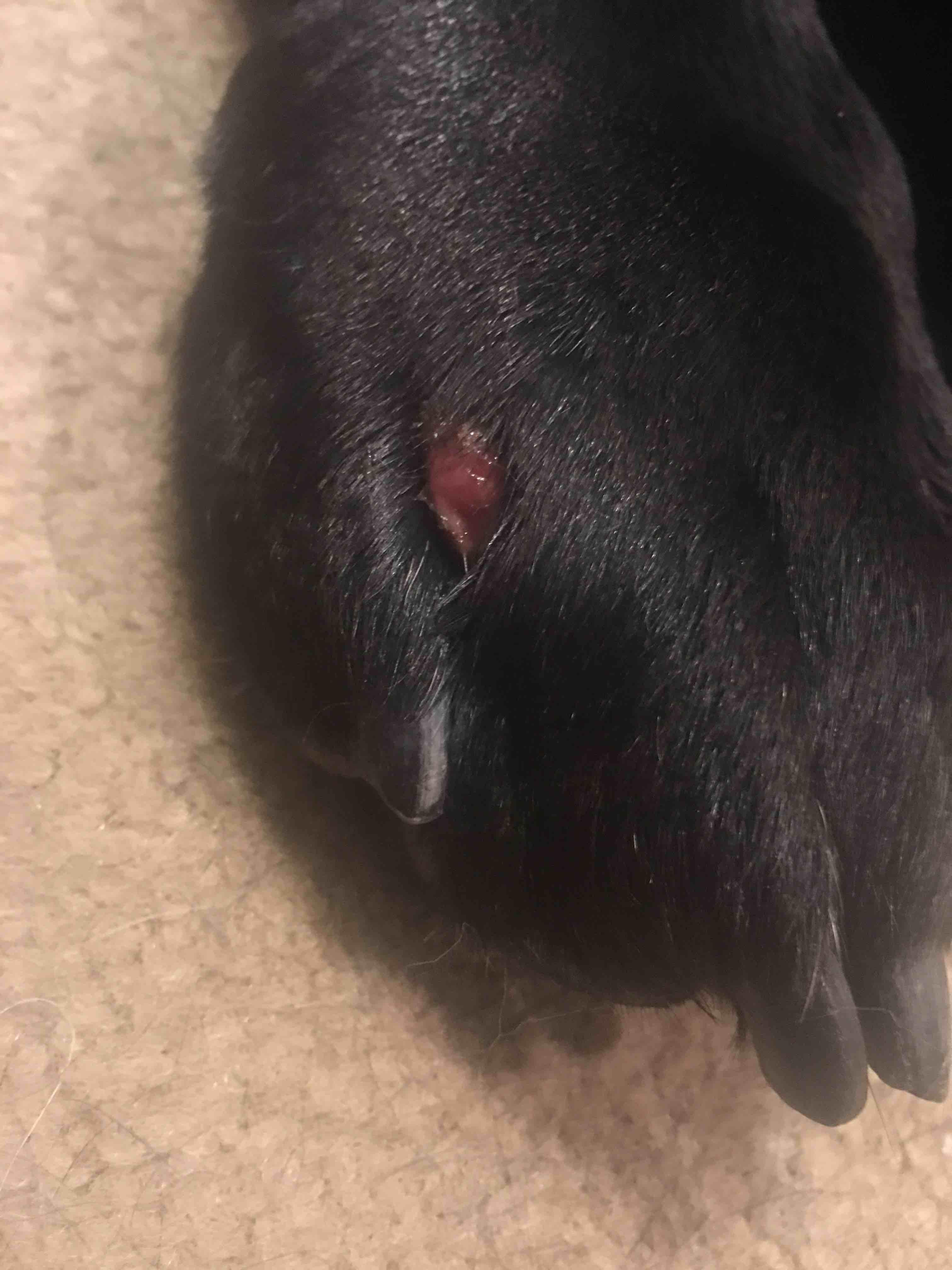 Question details sensitive content