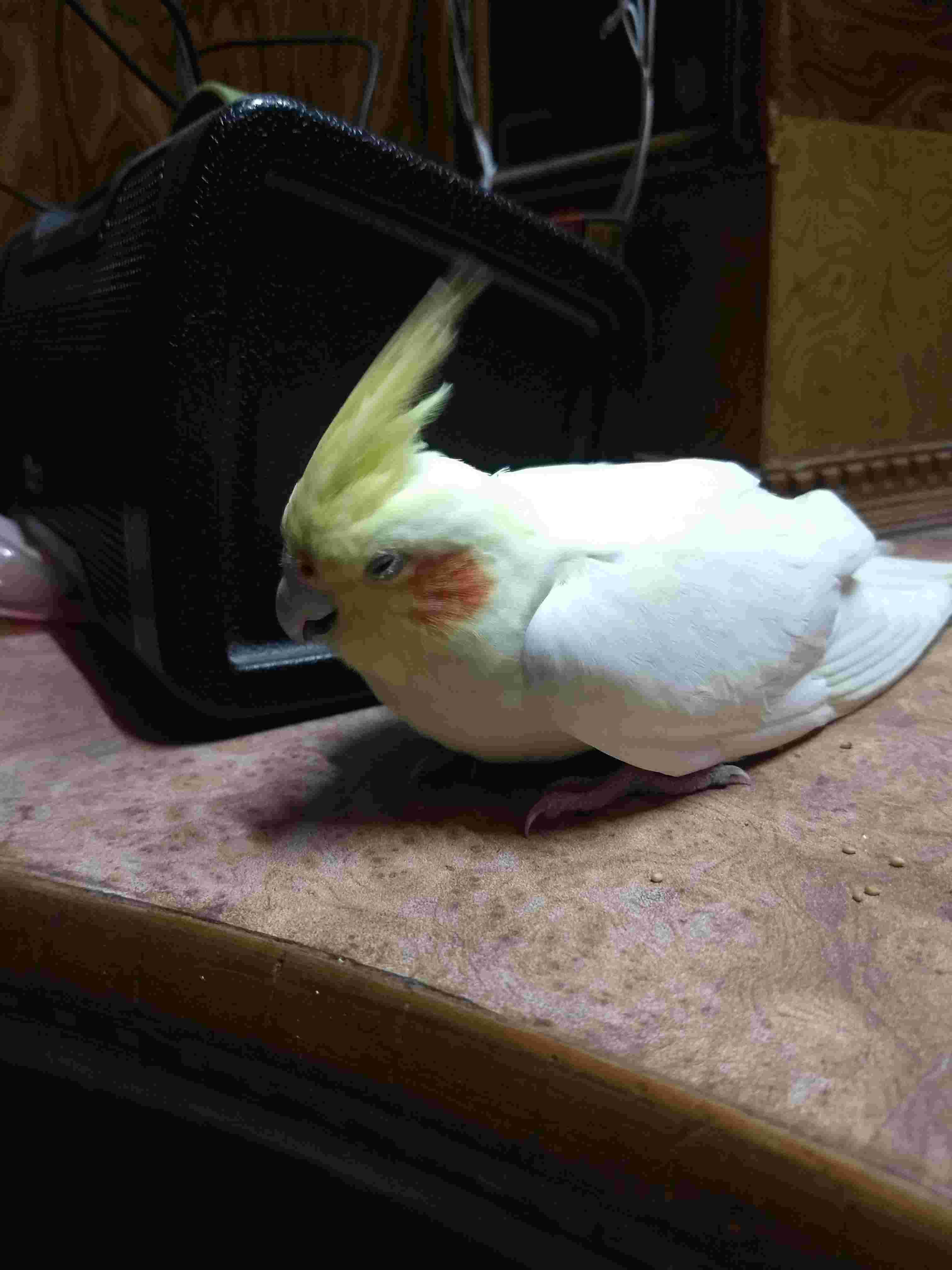 Question details sensitive content