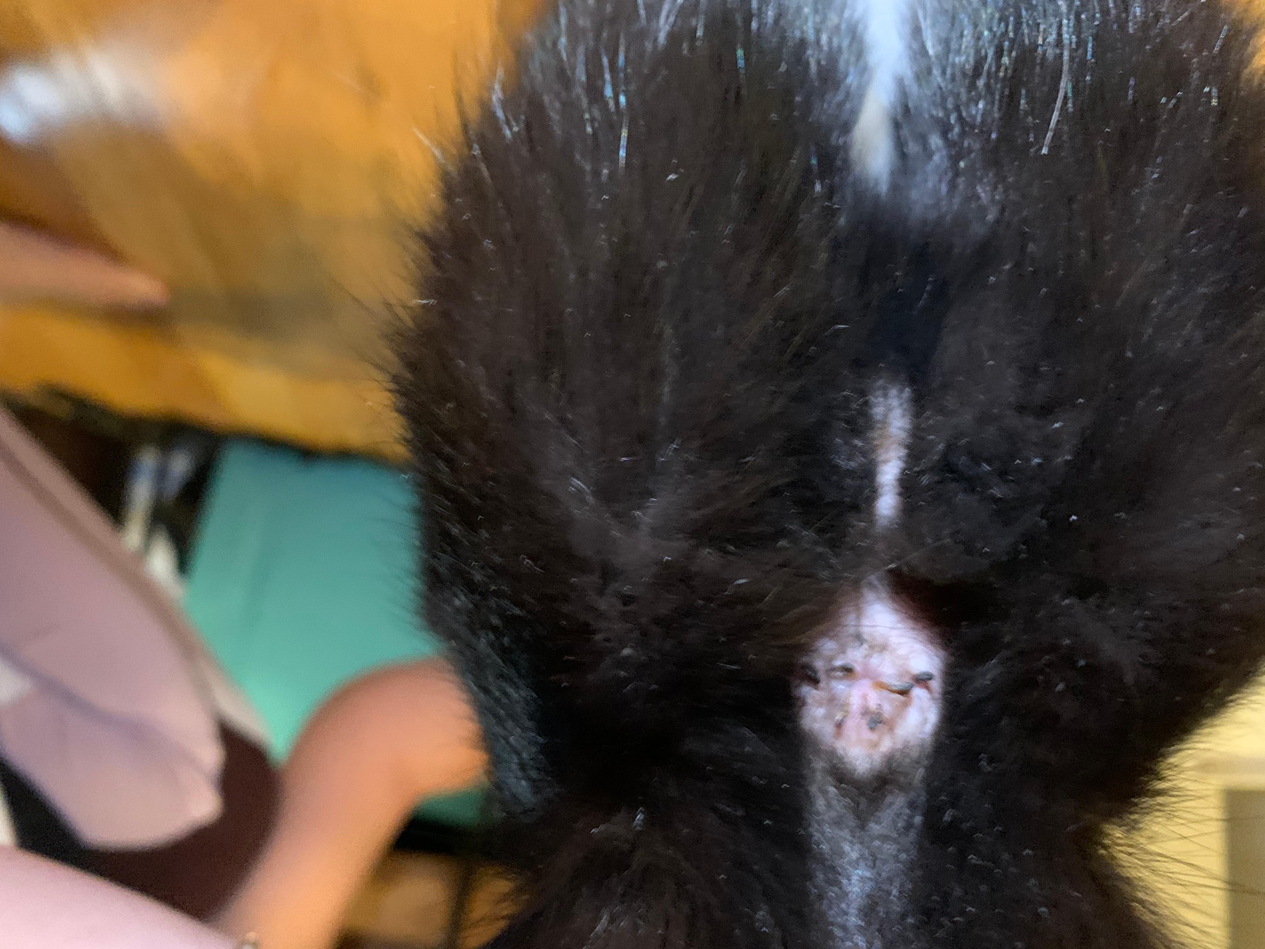 Question details sensitive content