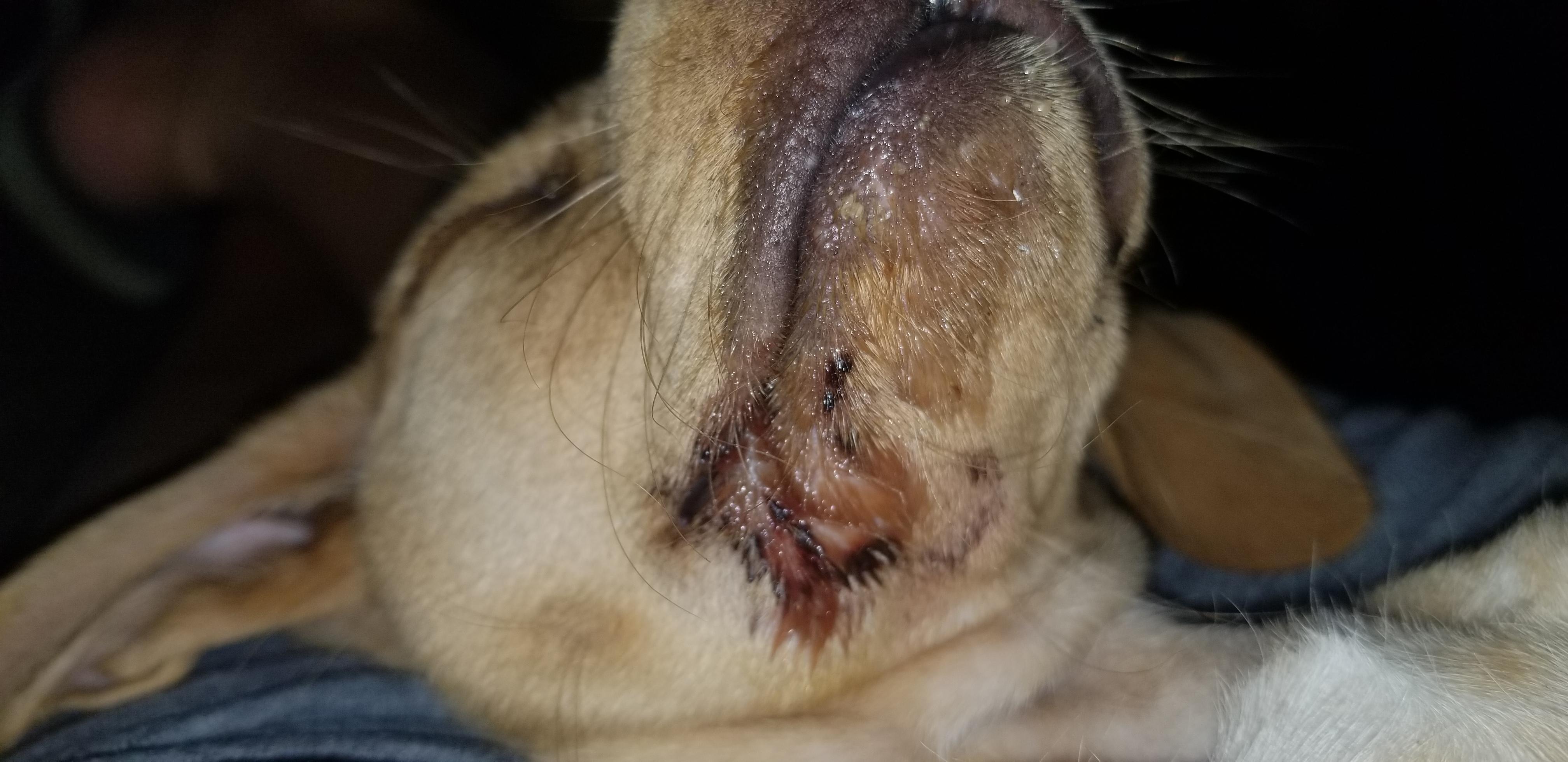 Question details sensitive content