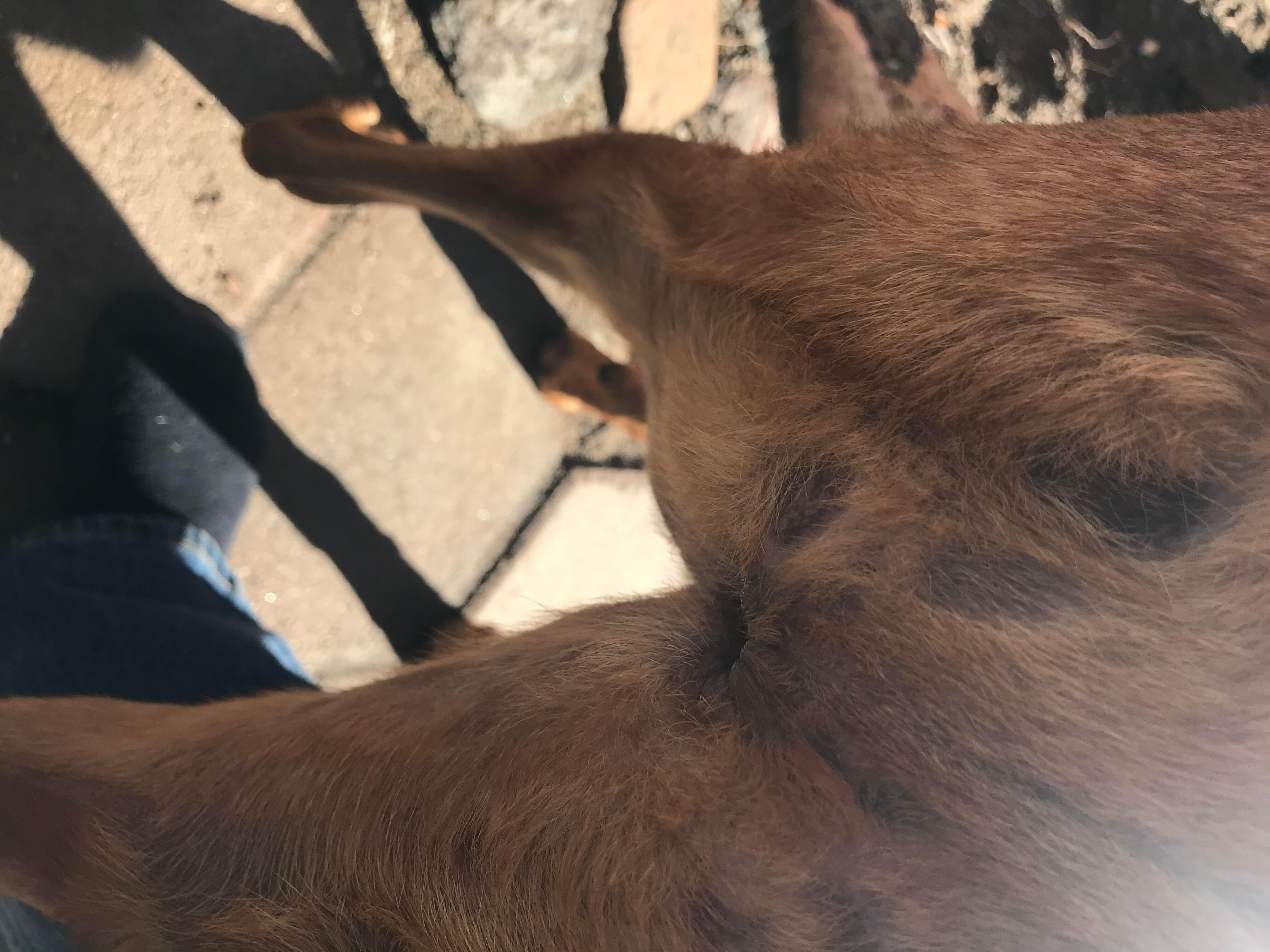 Question details sensitive content