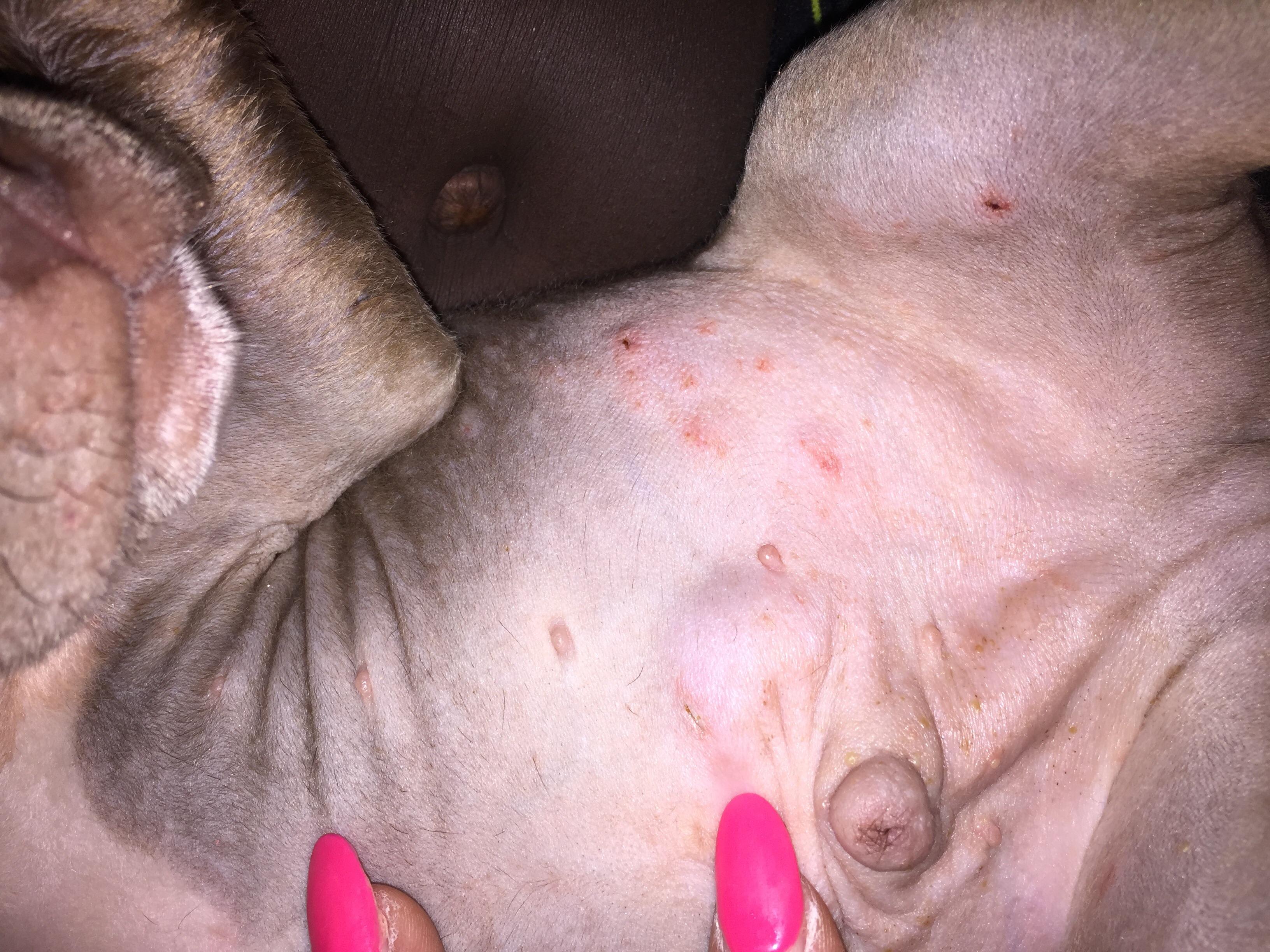 Question details sensitive content