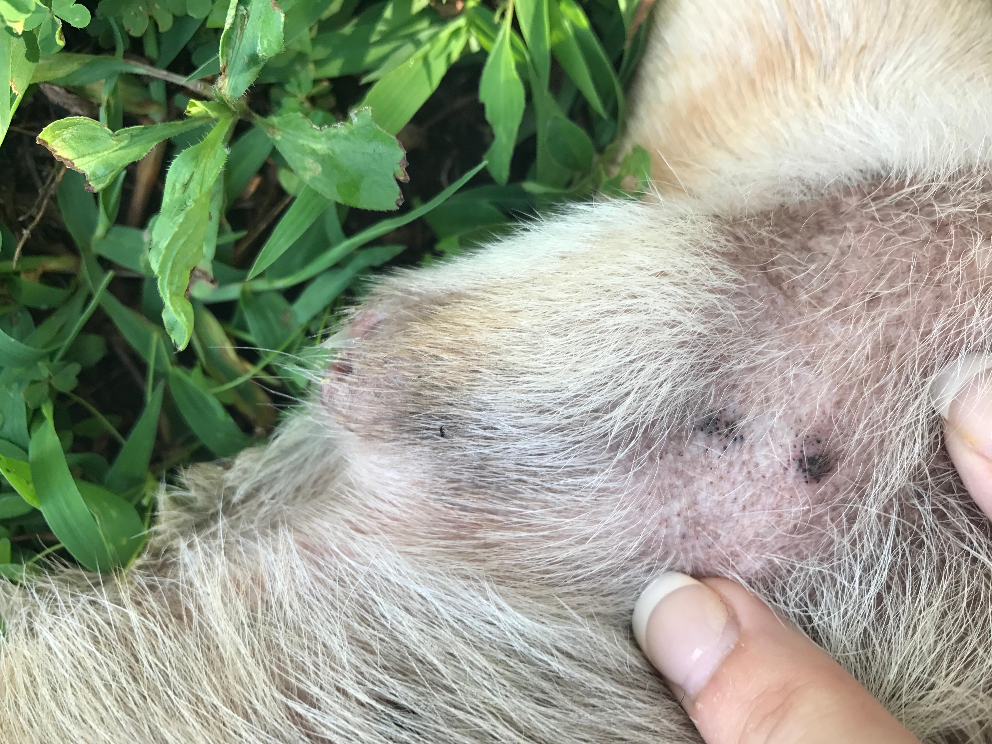 Question details sensitive content