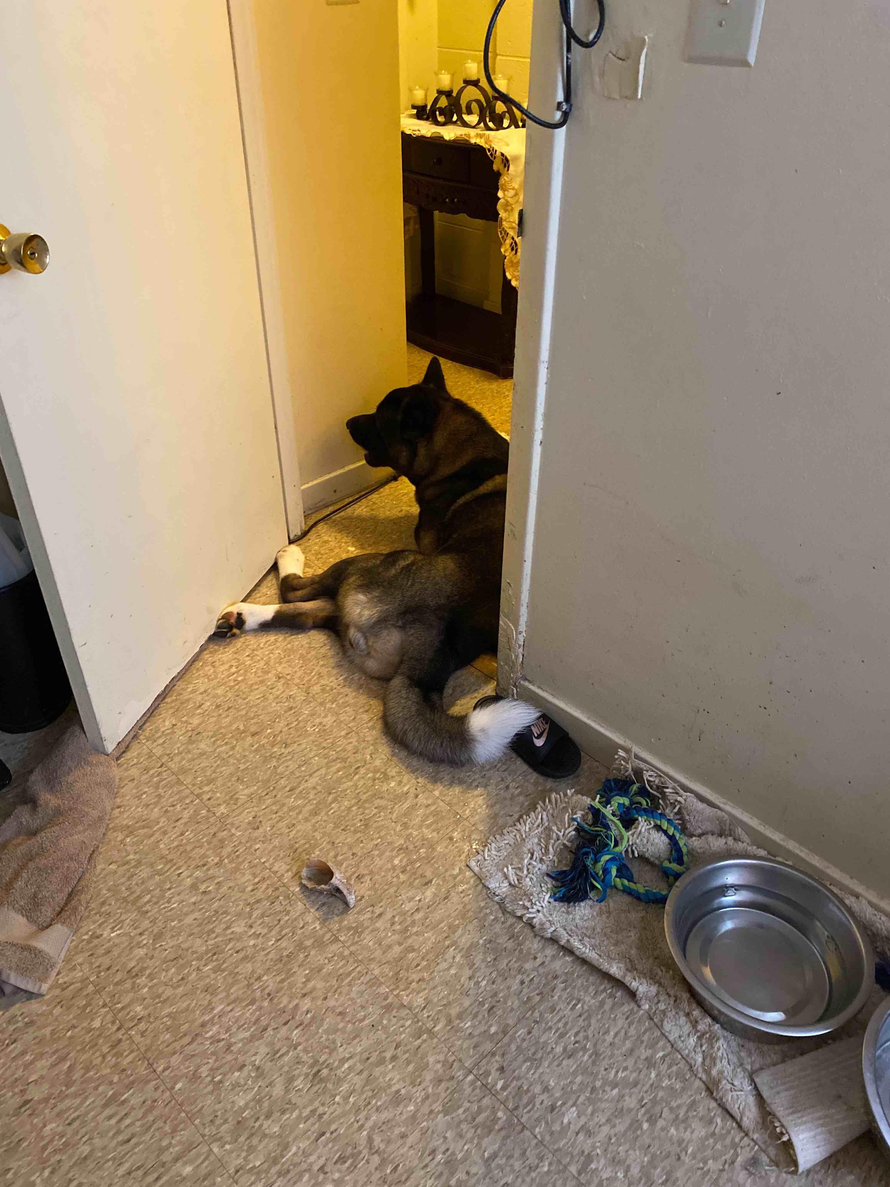 Question details sensitive content