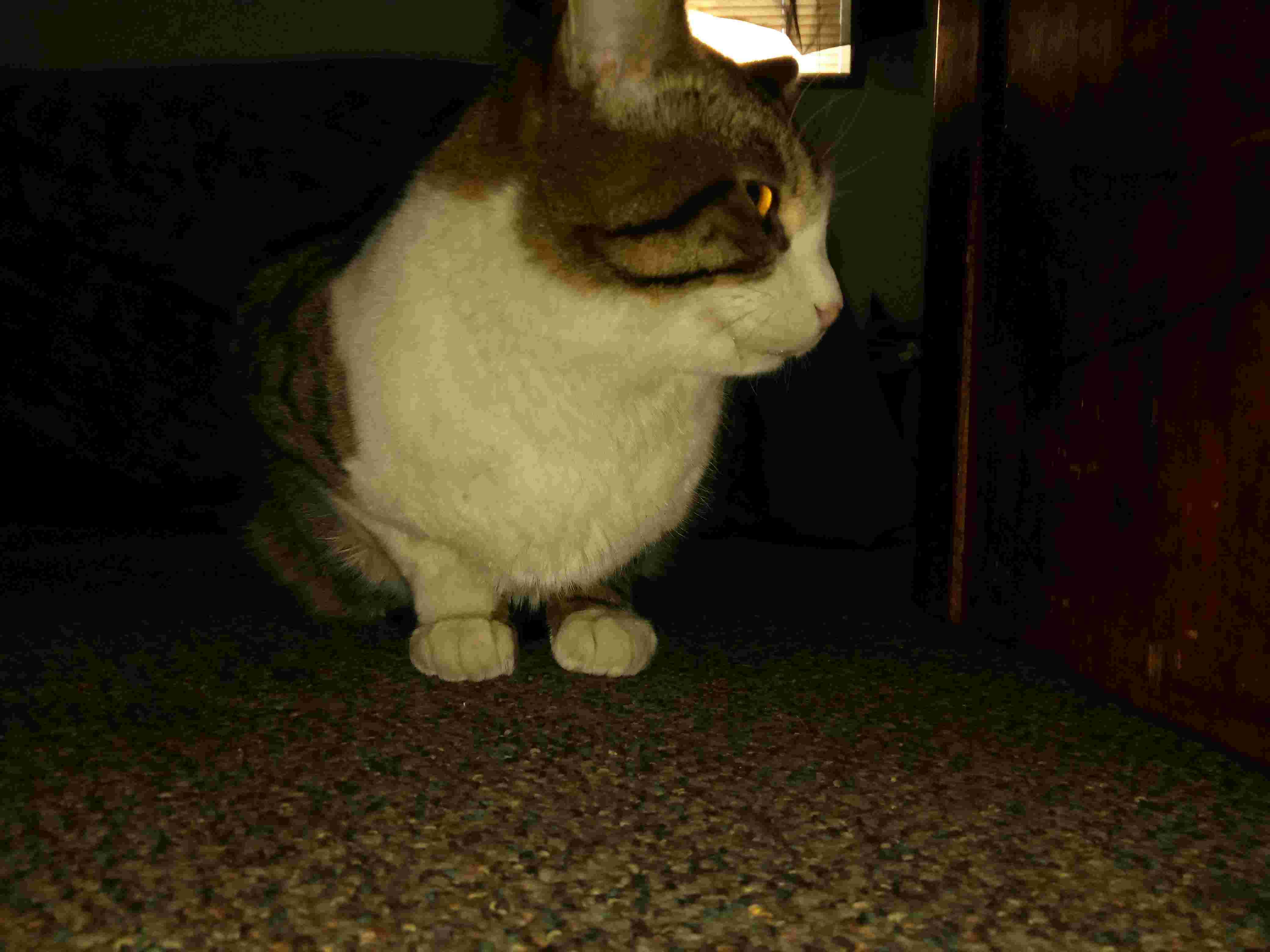 Question details sensitive content