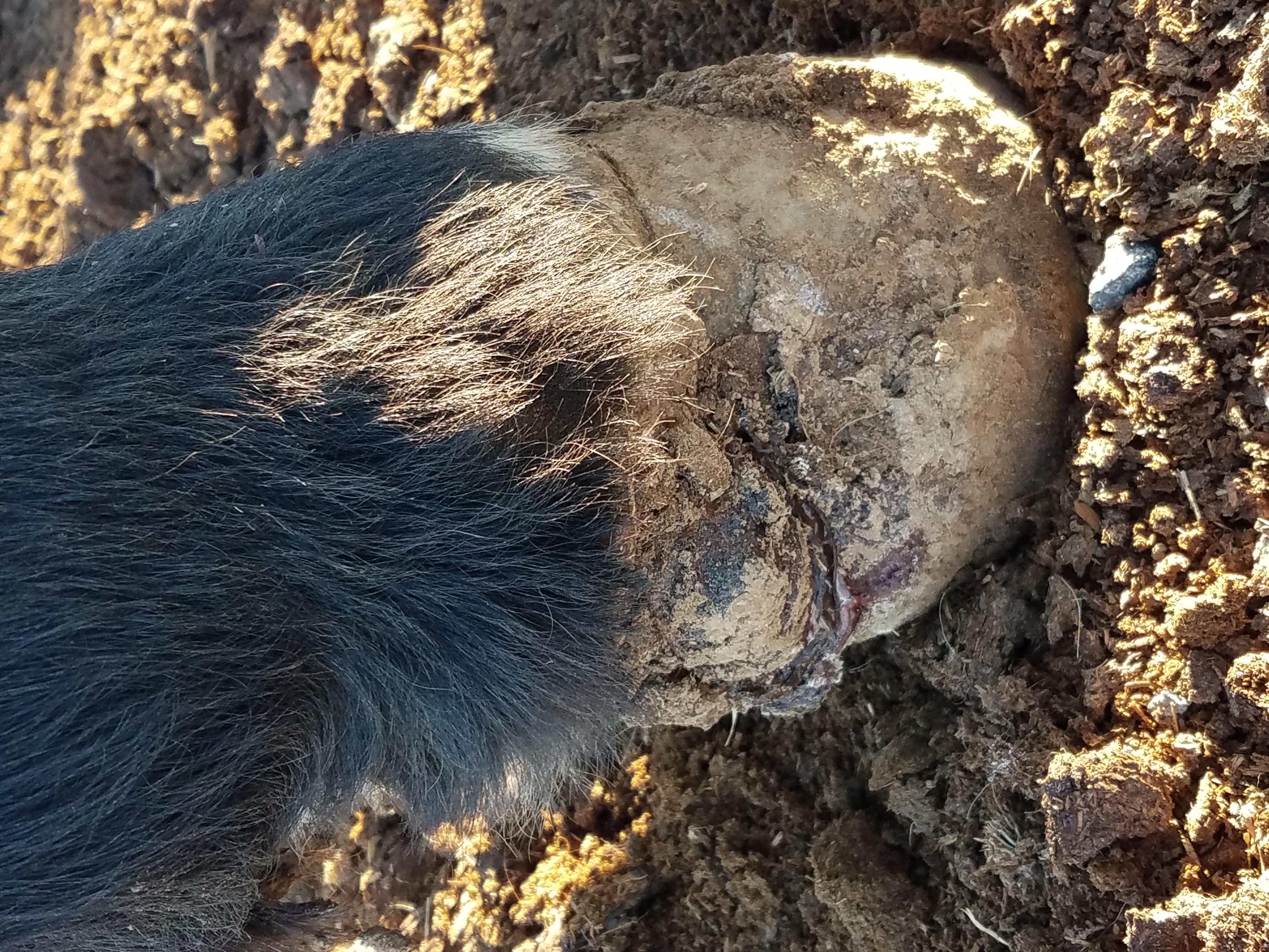 Question details sensitive content