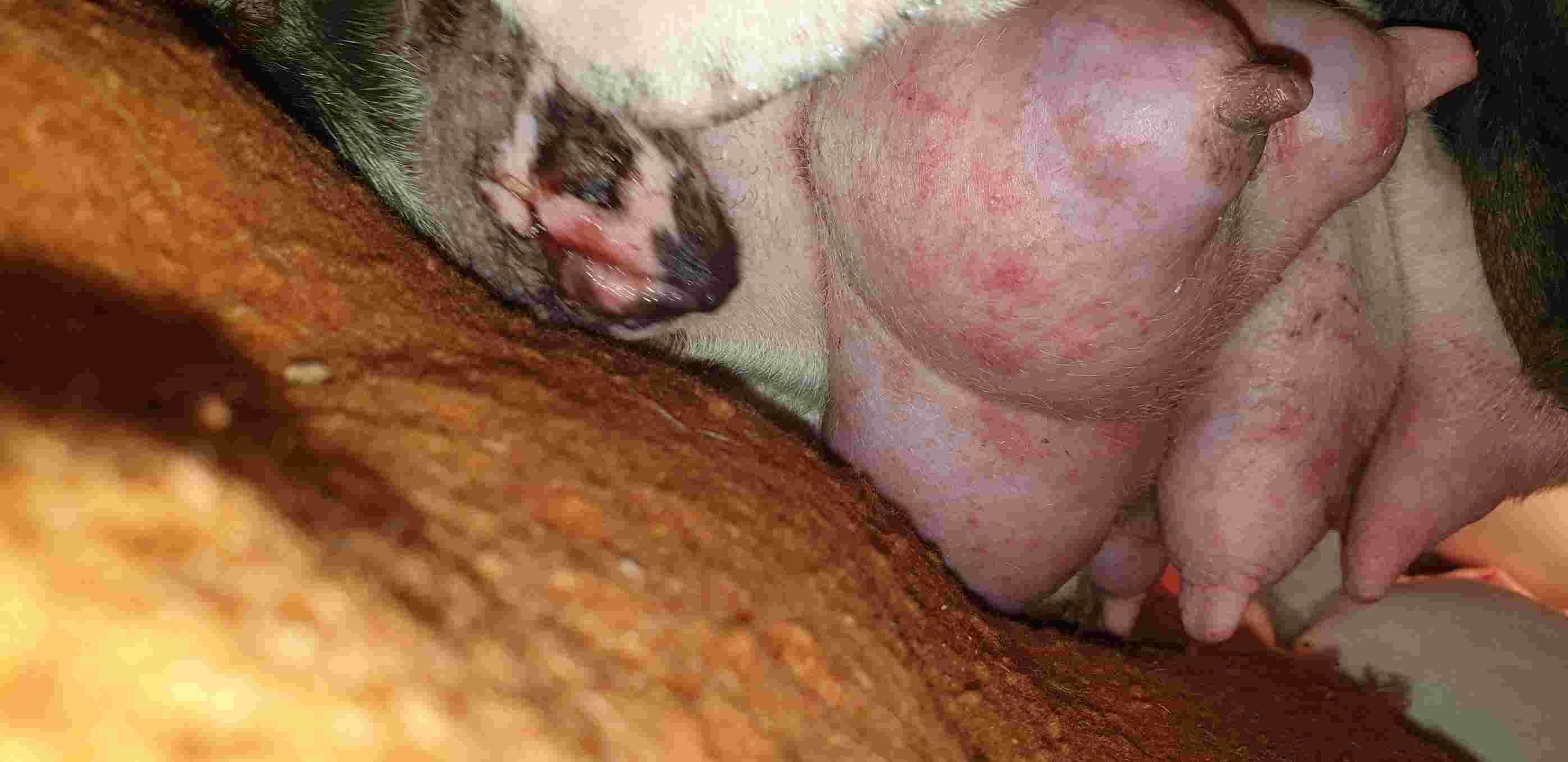 Question details sensitive content