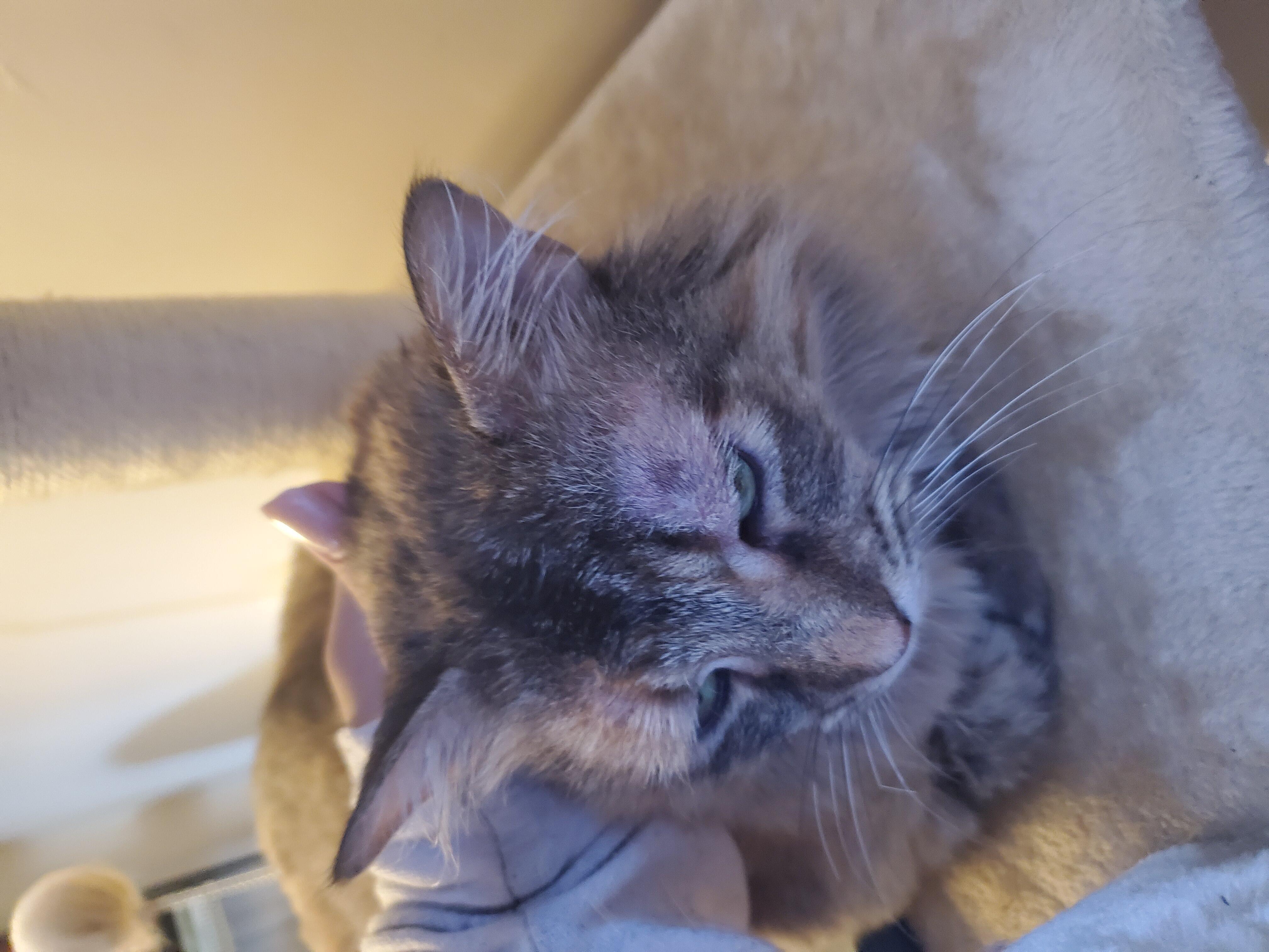 Question details sensitive content