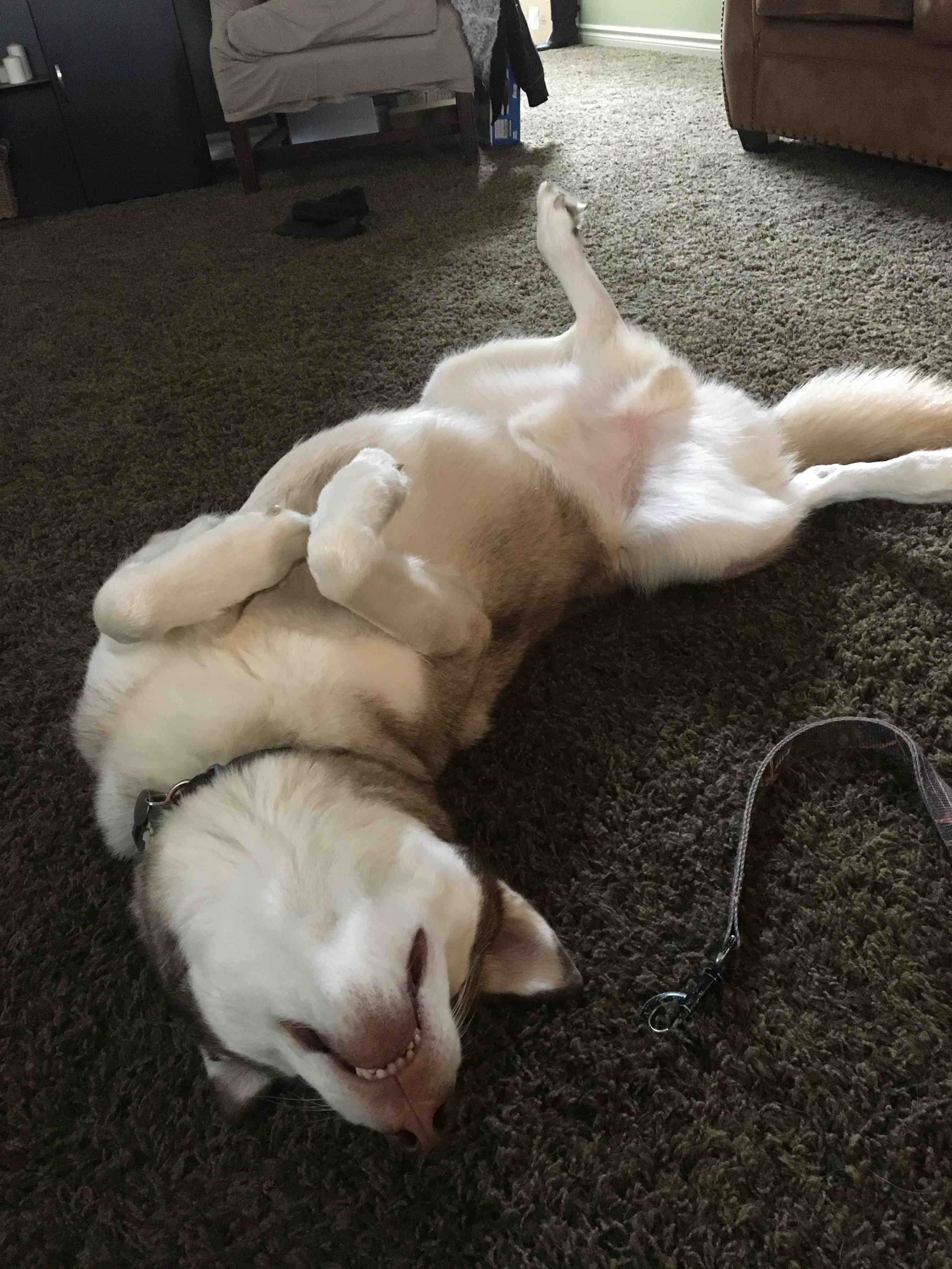 Question details sensitive content