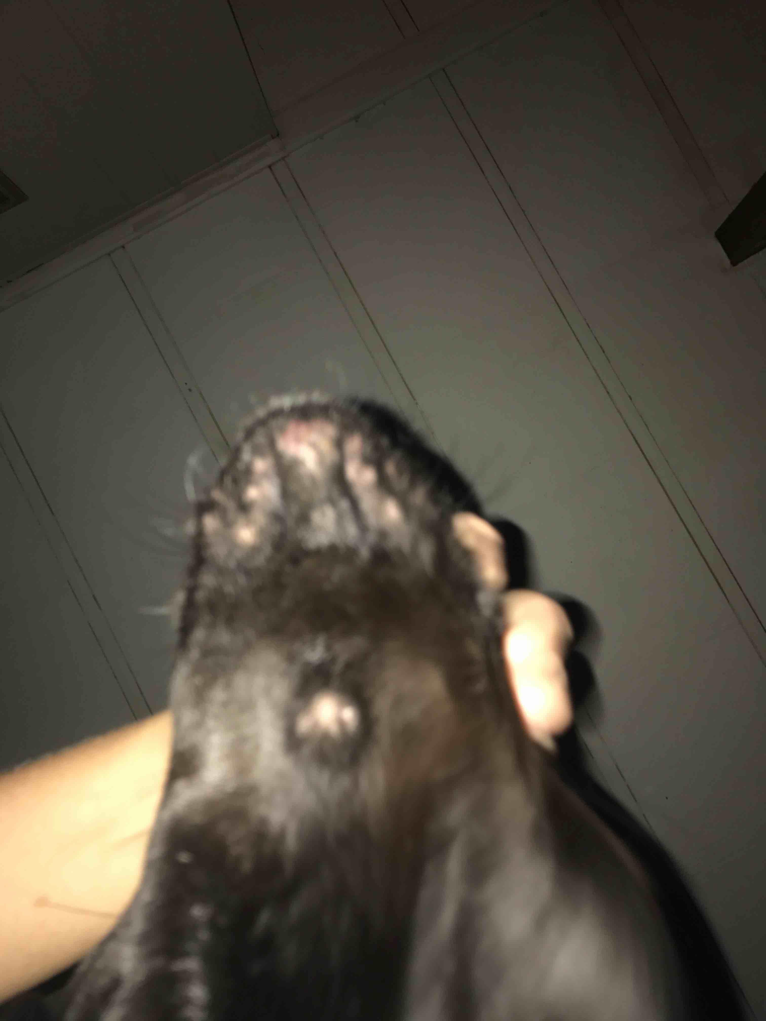 Question details sensitive content