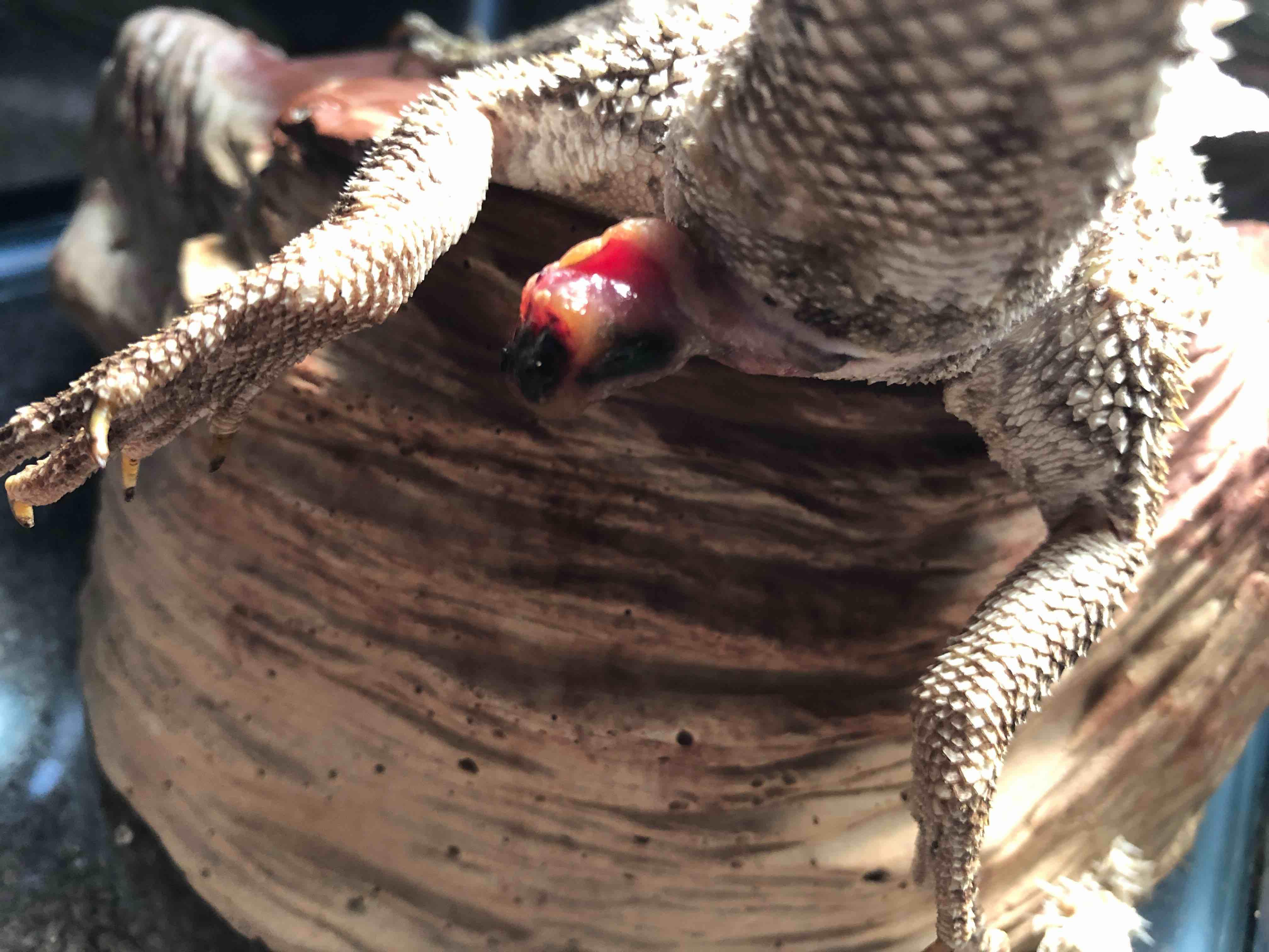 Question details sensitive content