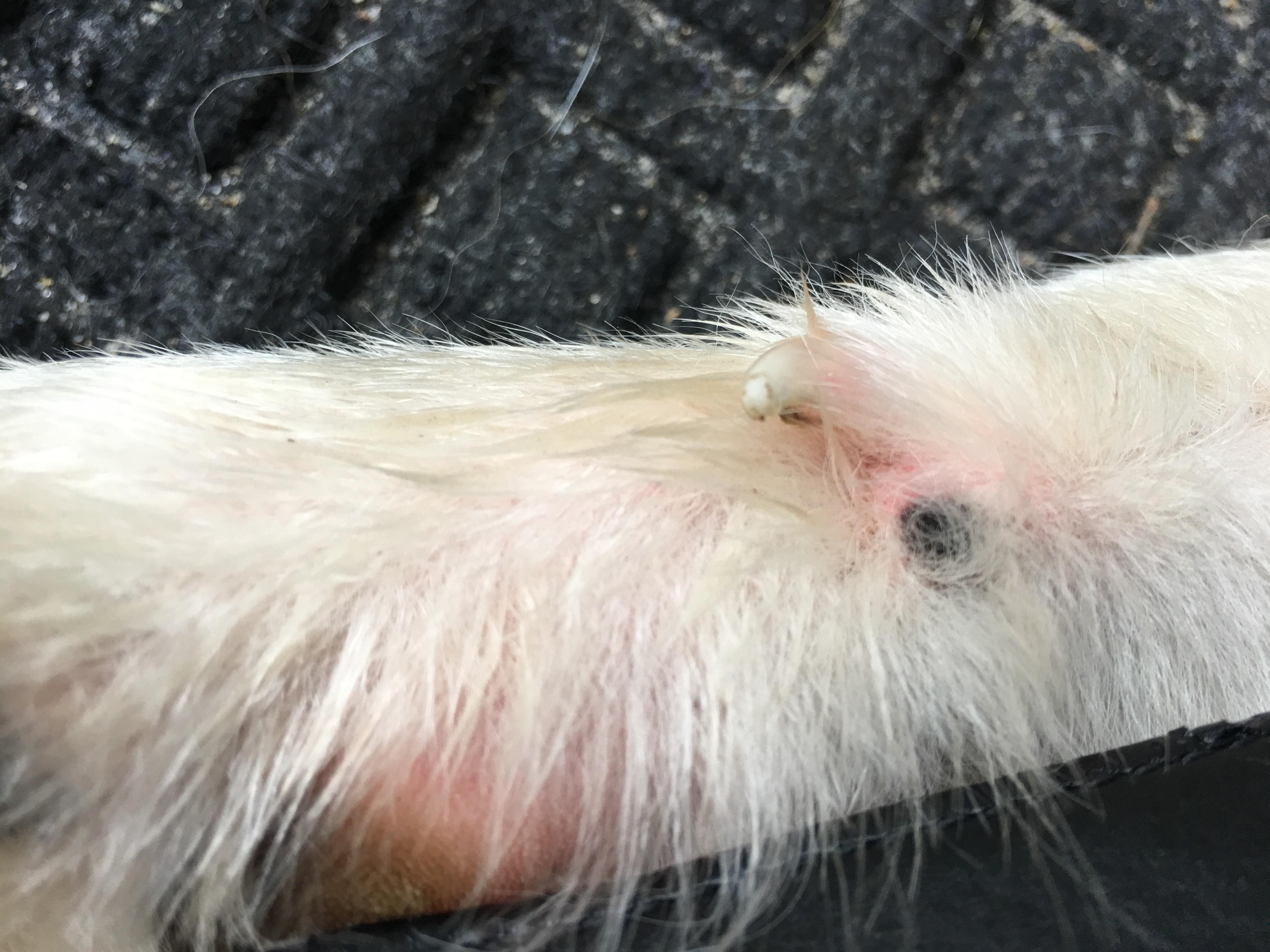 Question details sensitive content