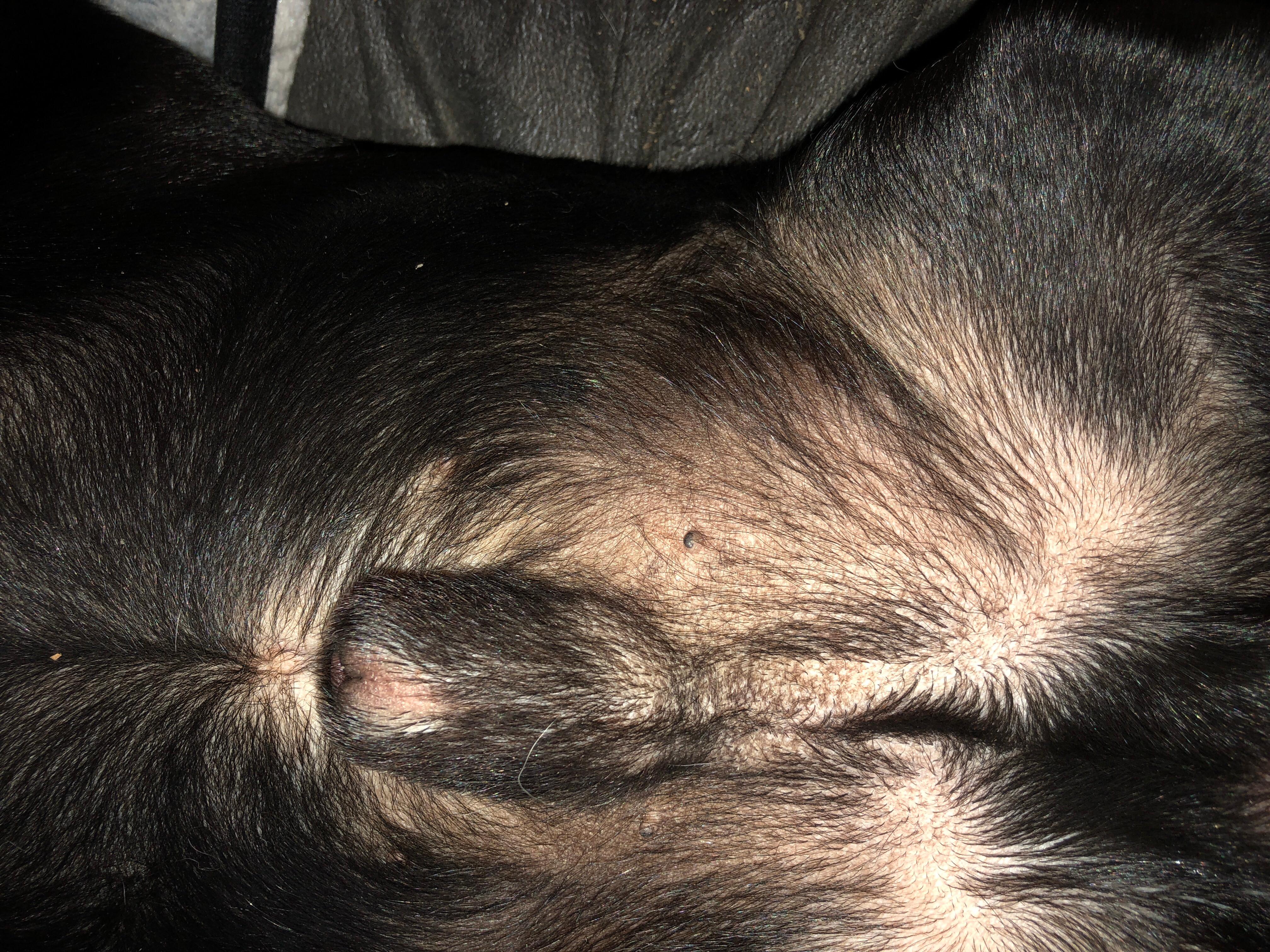 Question details sensitive content