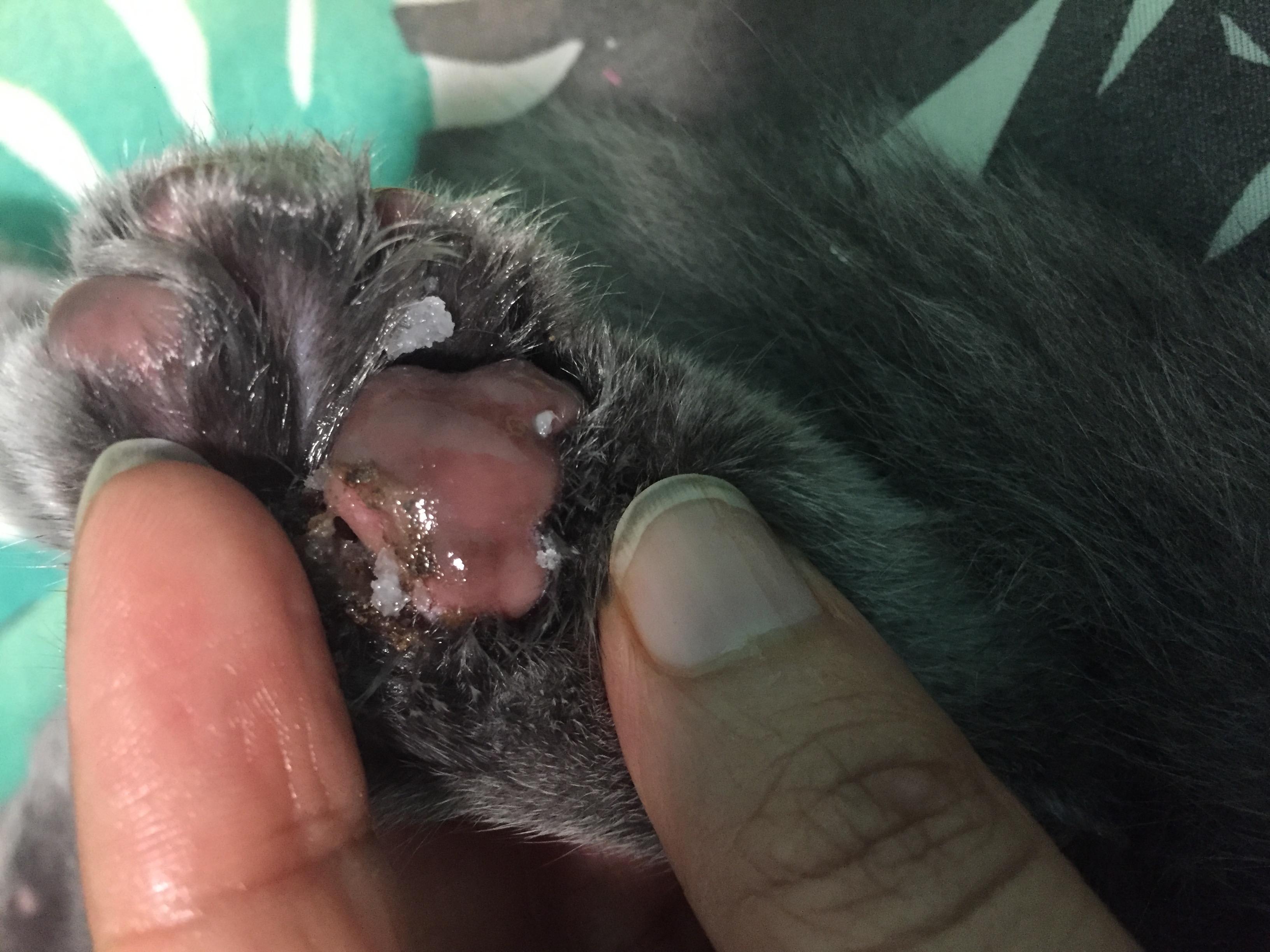 Question details sensitive content