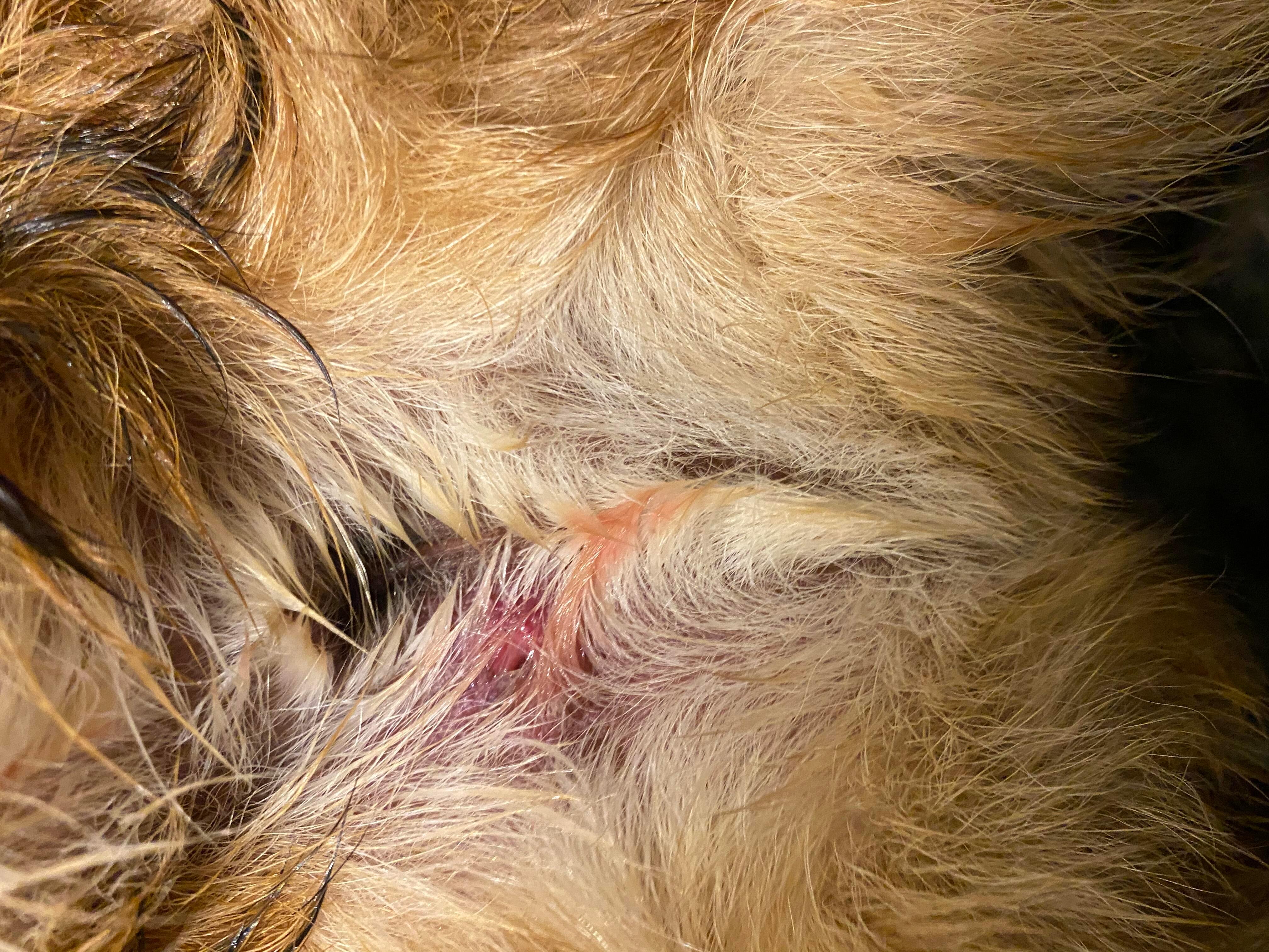 Question details sensitive content