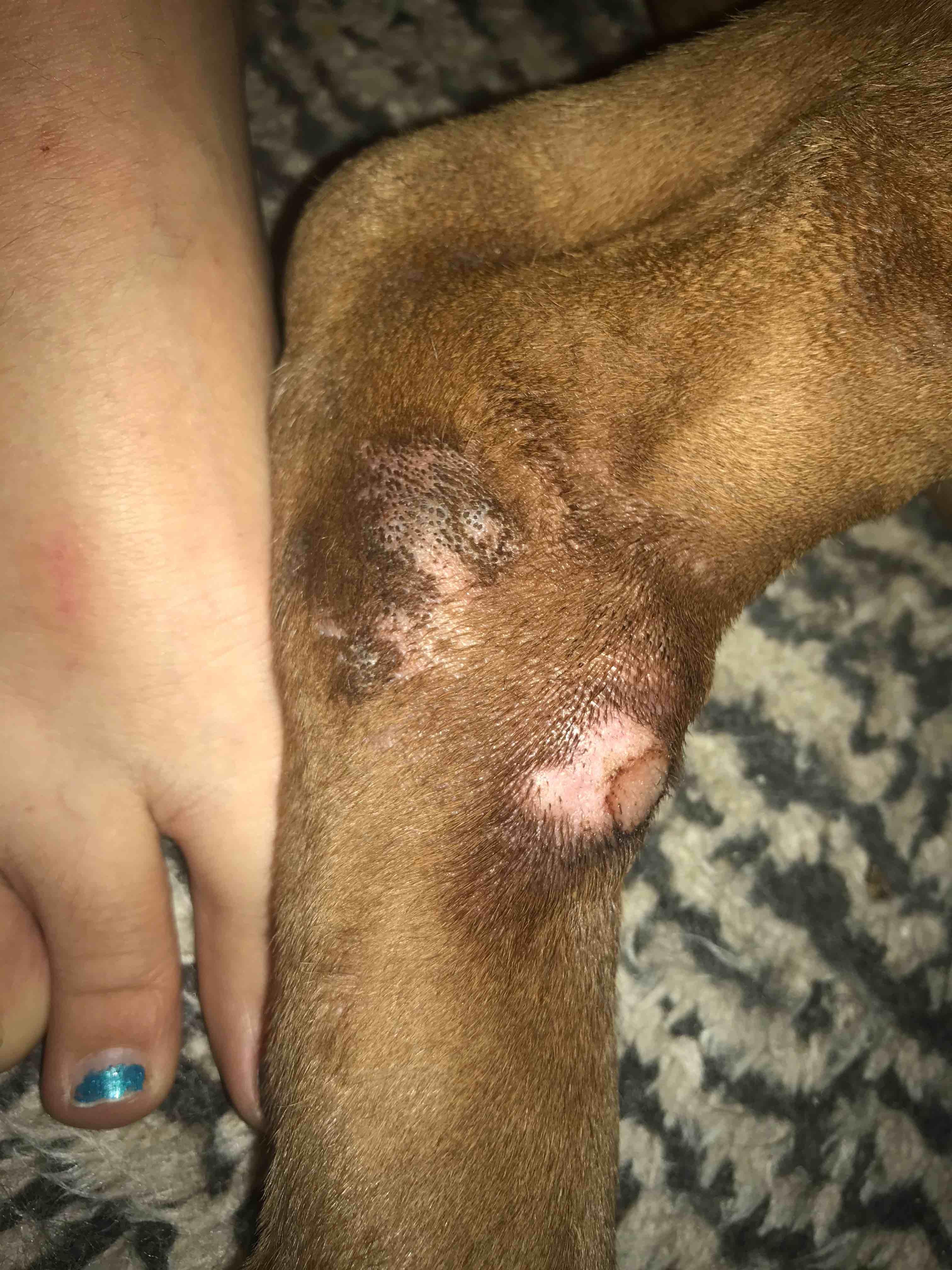 Question details sensitive content