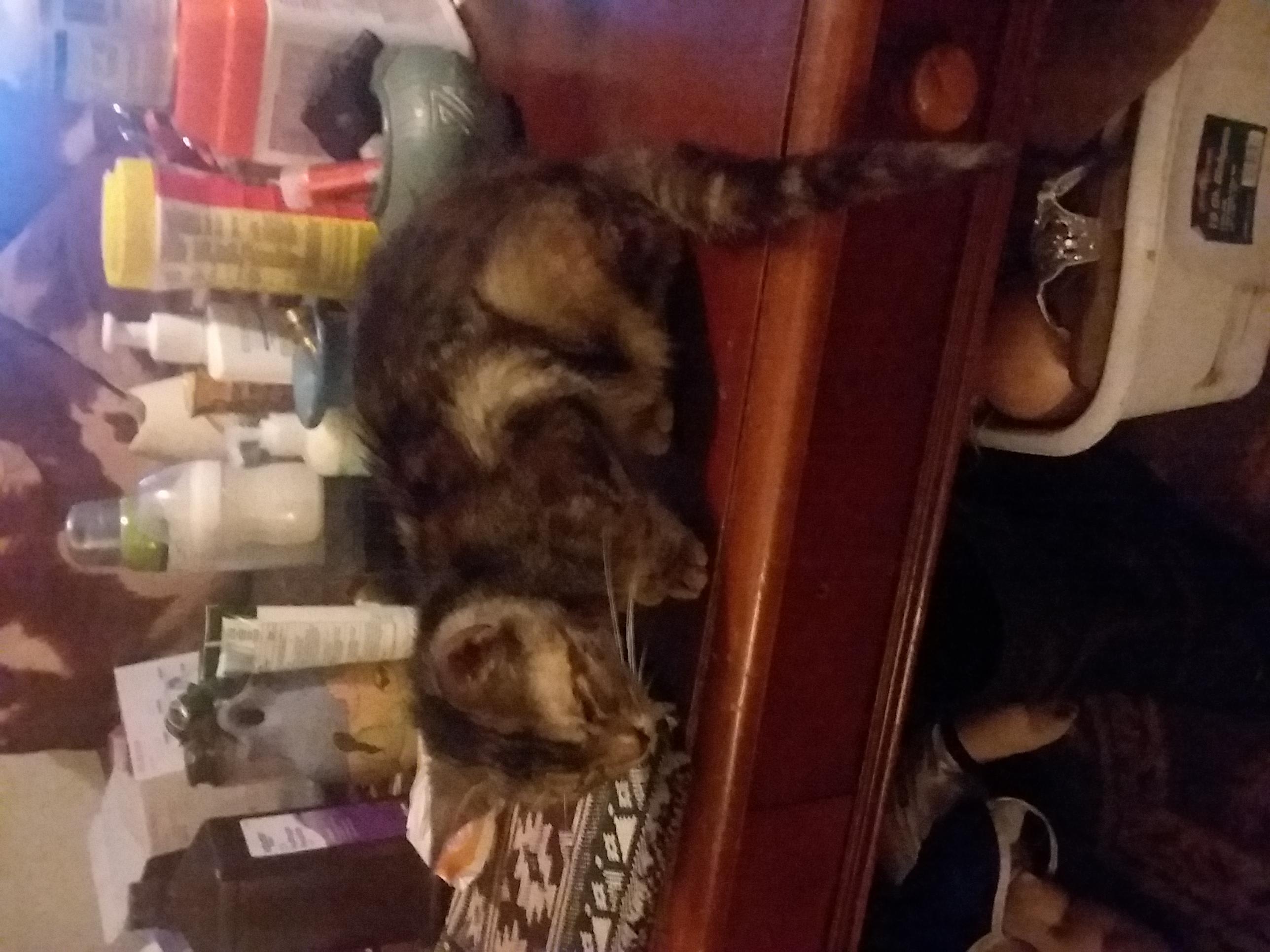 Question details sensitive content