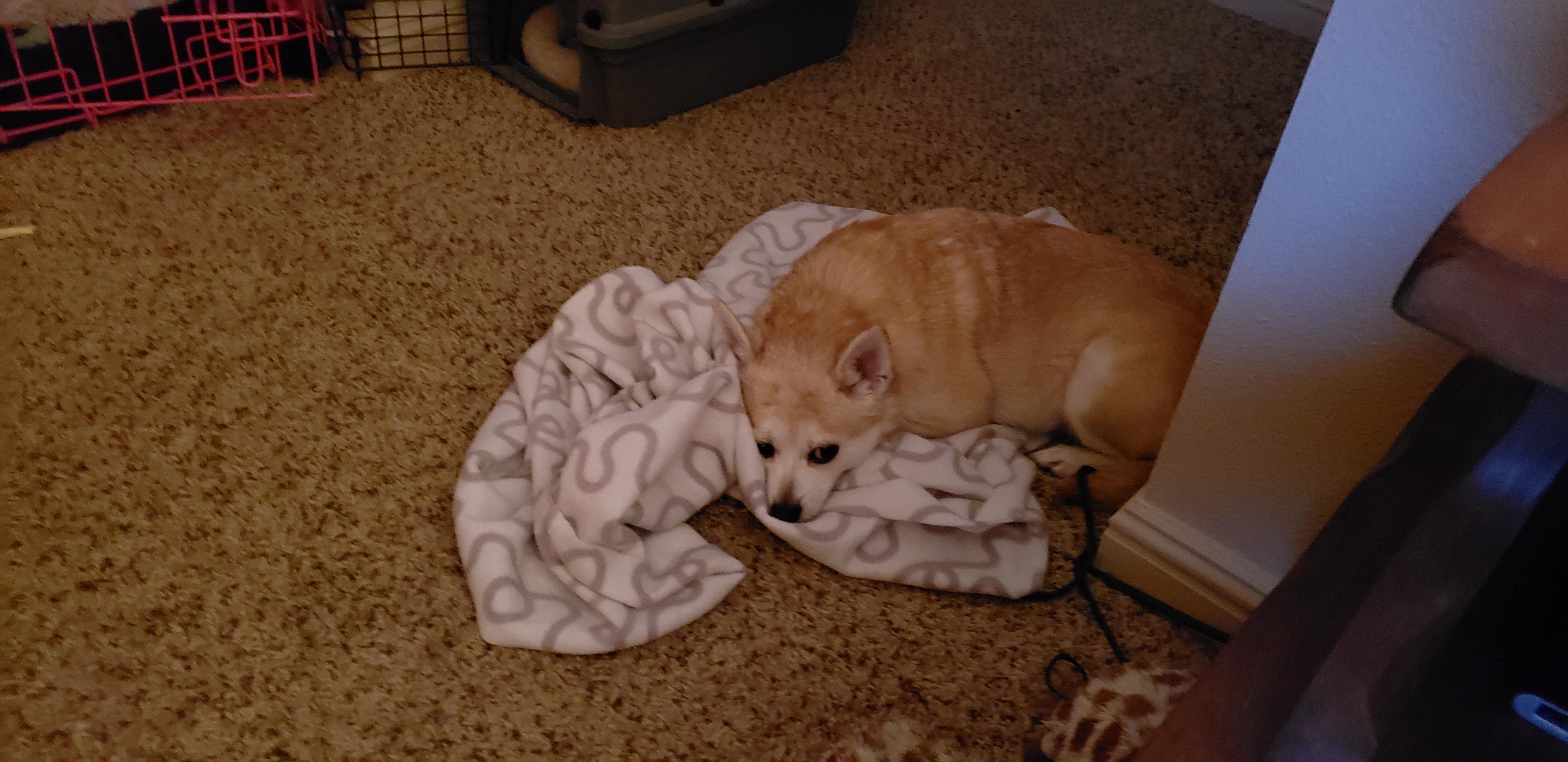 Question details sensitive content